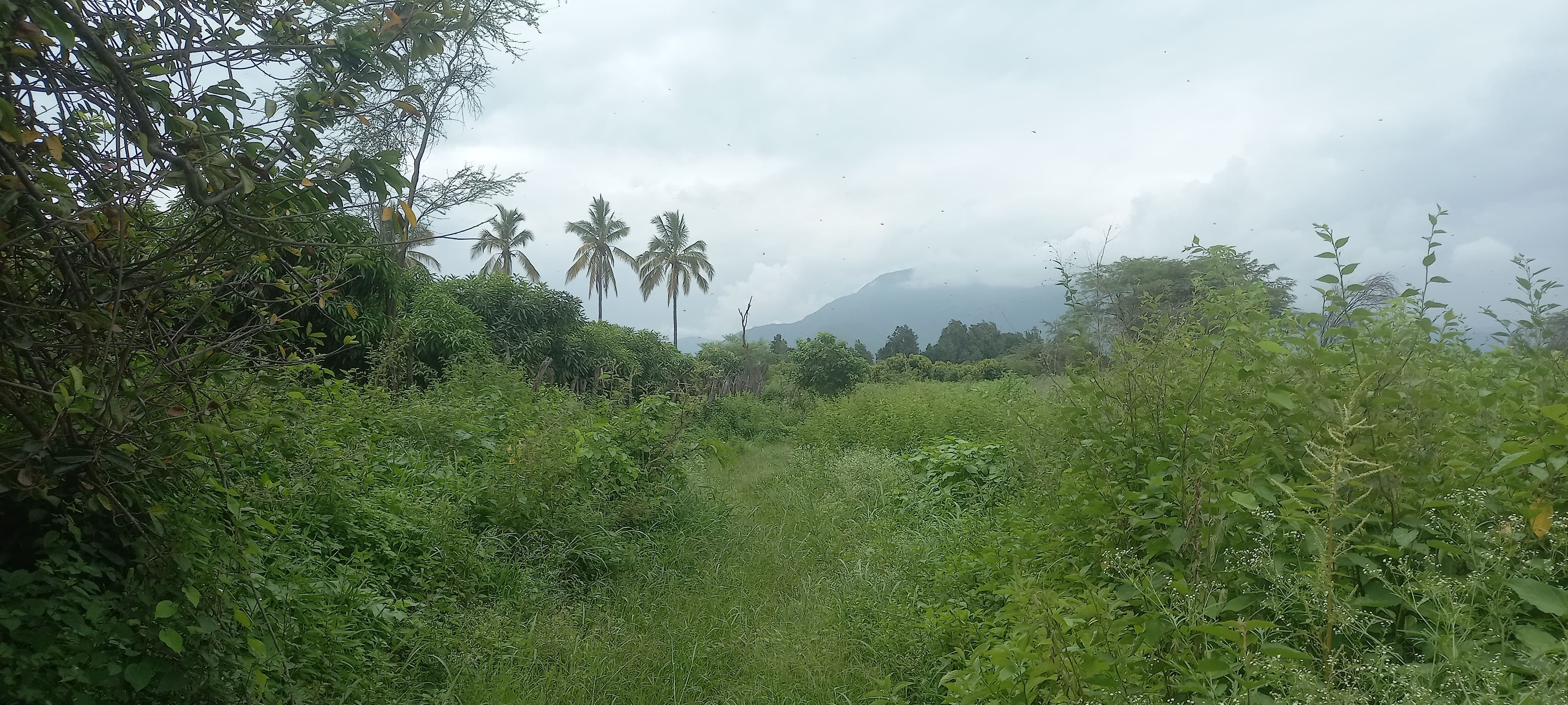 Caserío de Chitarra
