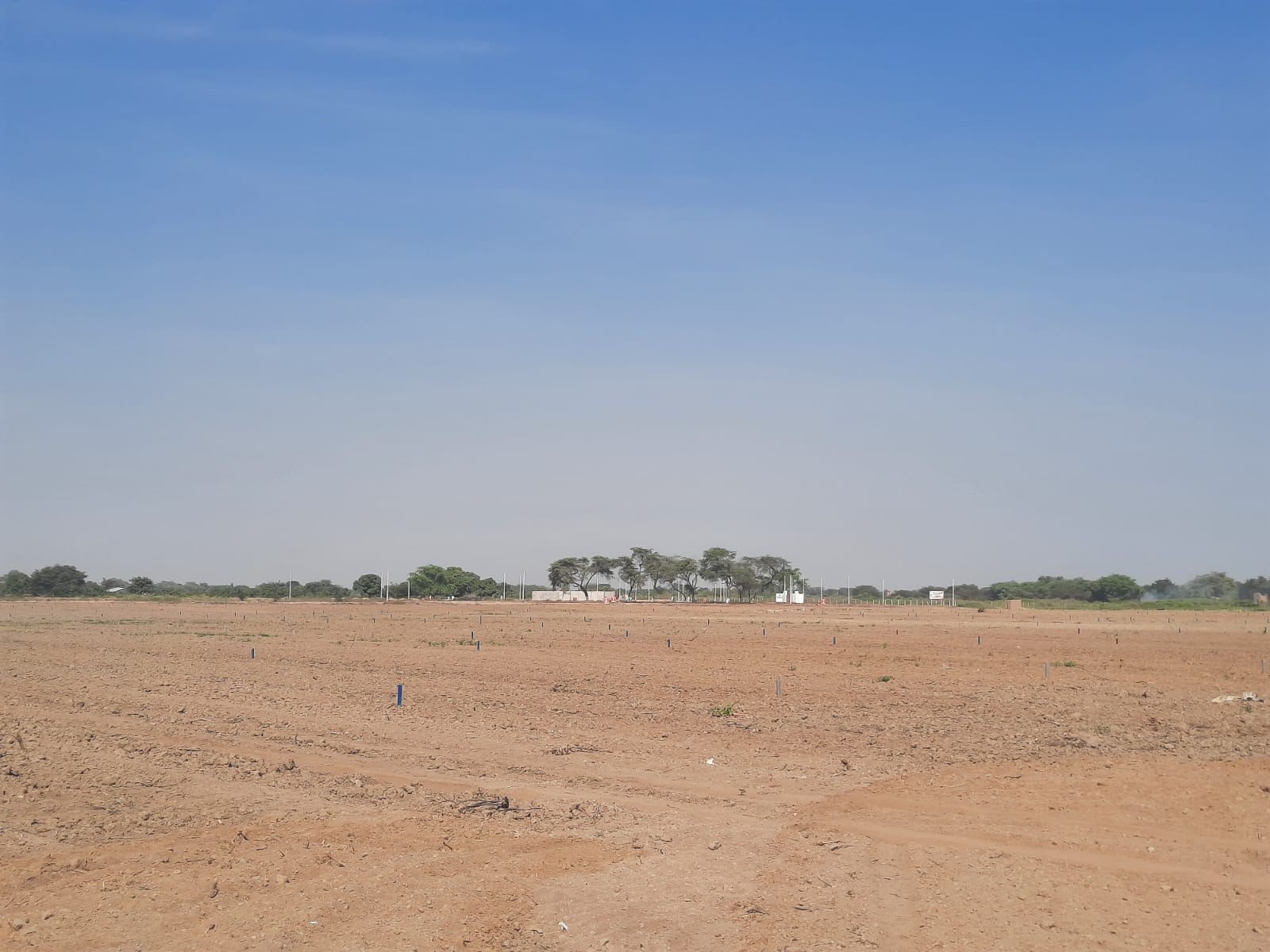 Inmobiliaria Marrufo 1