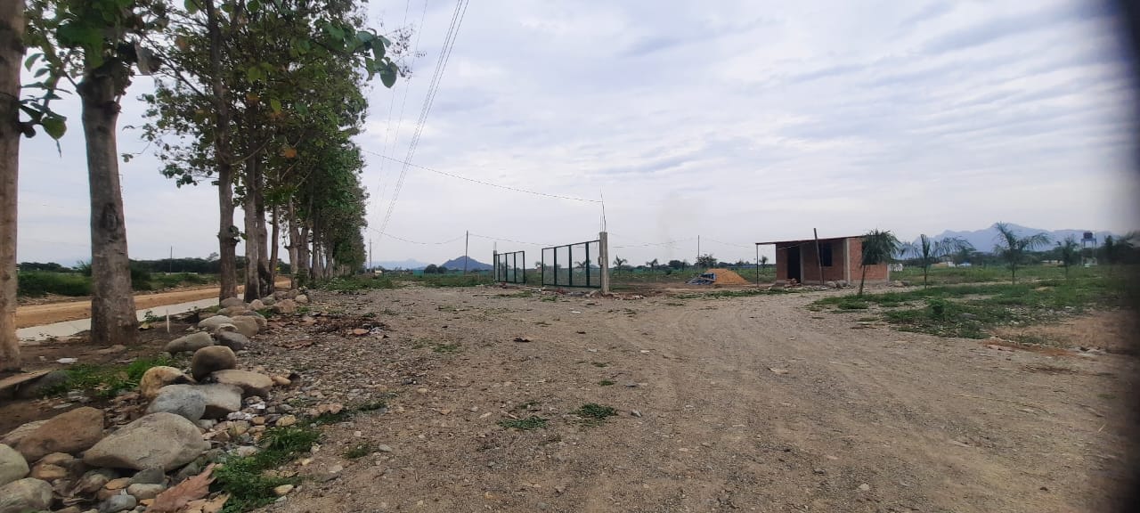 Inmobiliaria Marrufo 4