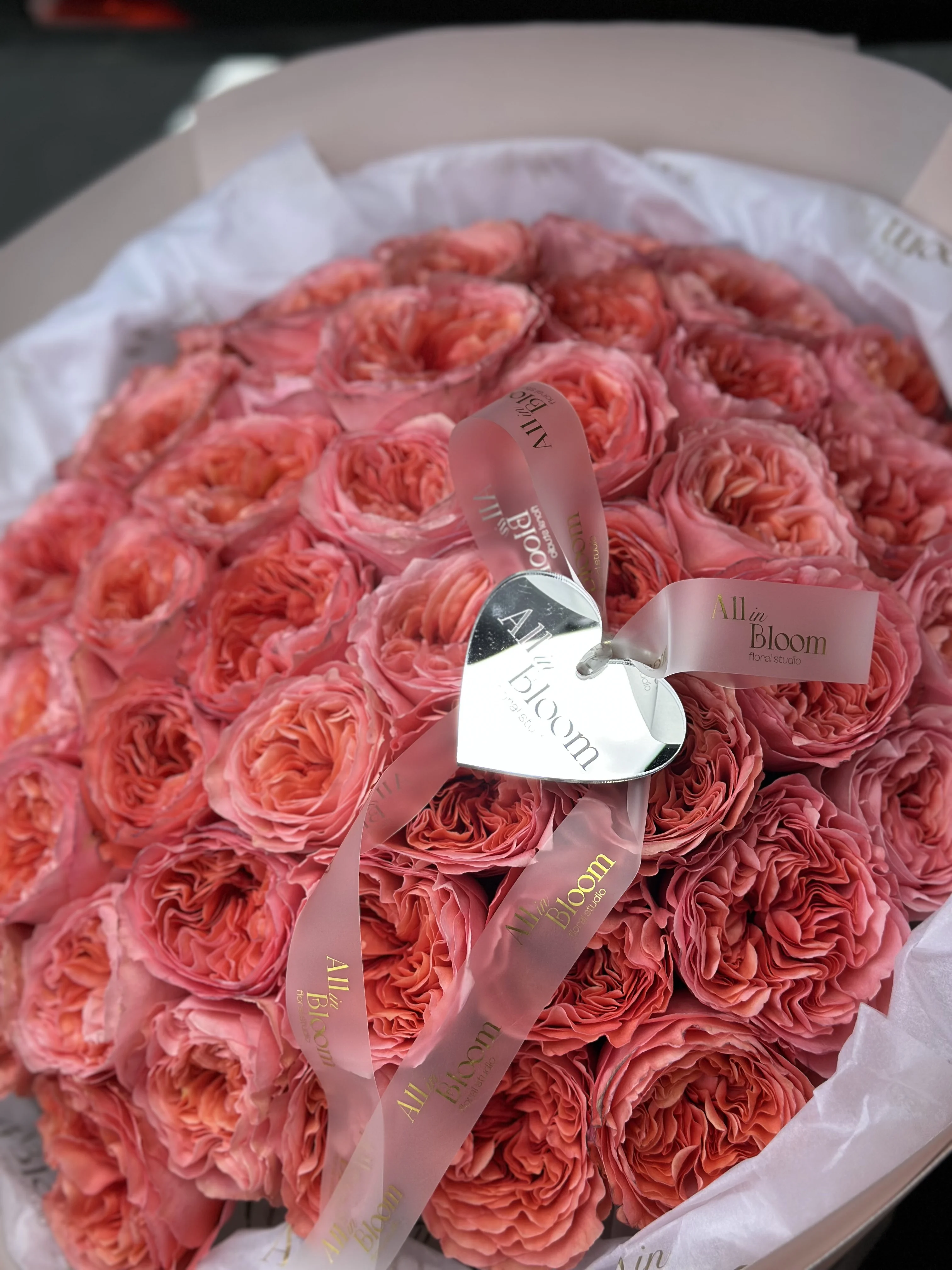 50 Candy X-Pression Garden Roses