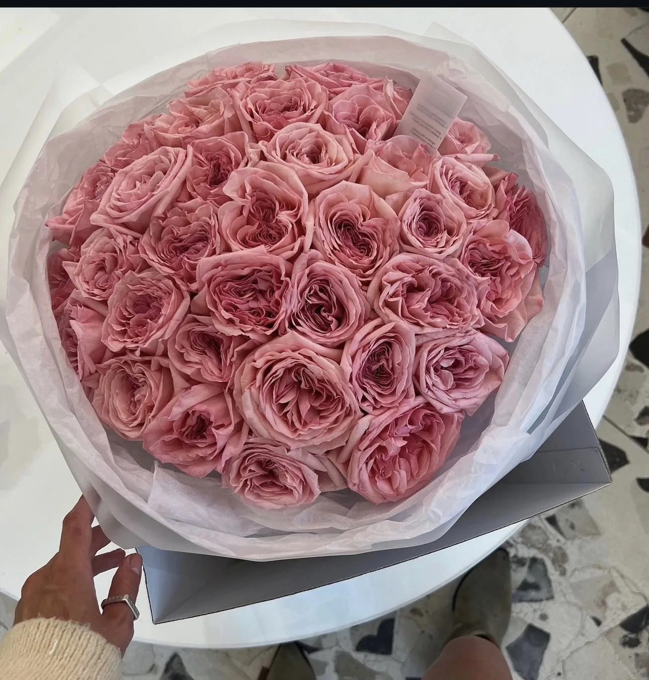25 Pink O’Hara Garden Roses