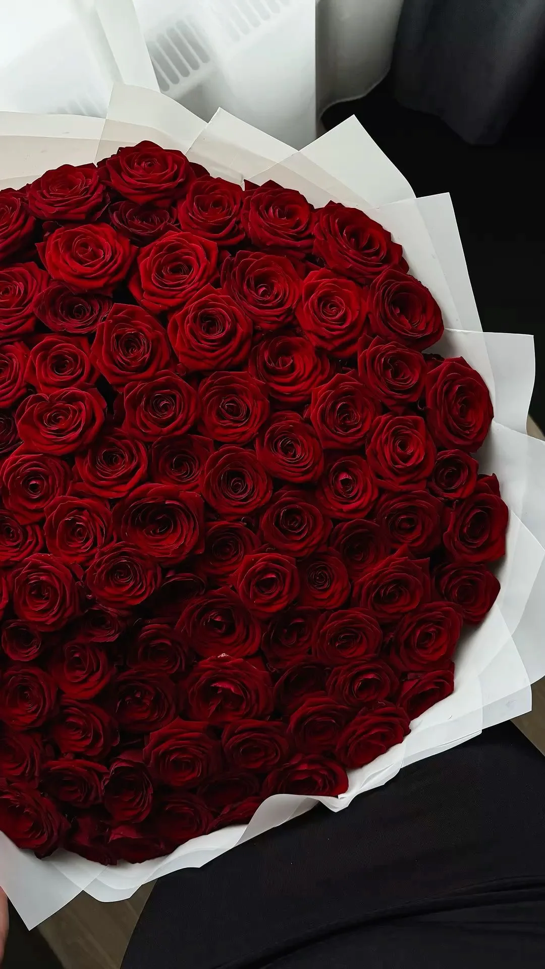 100 Classic Red Roses