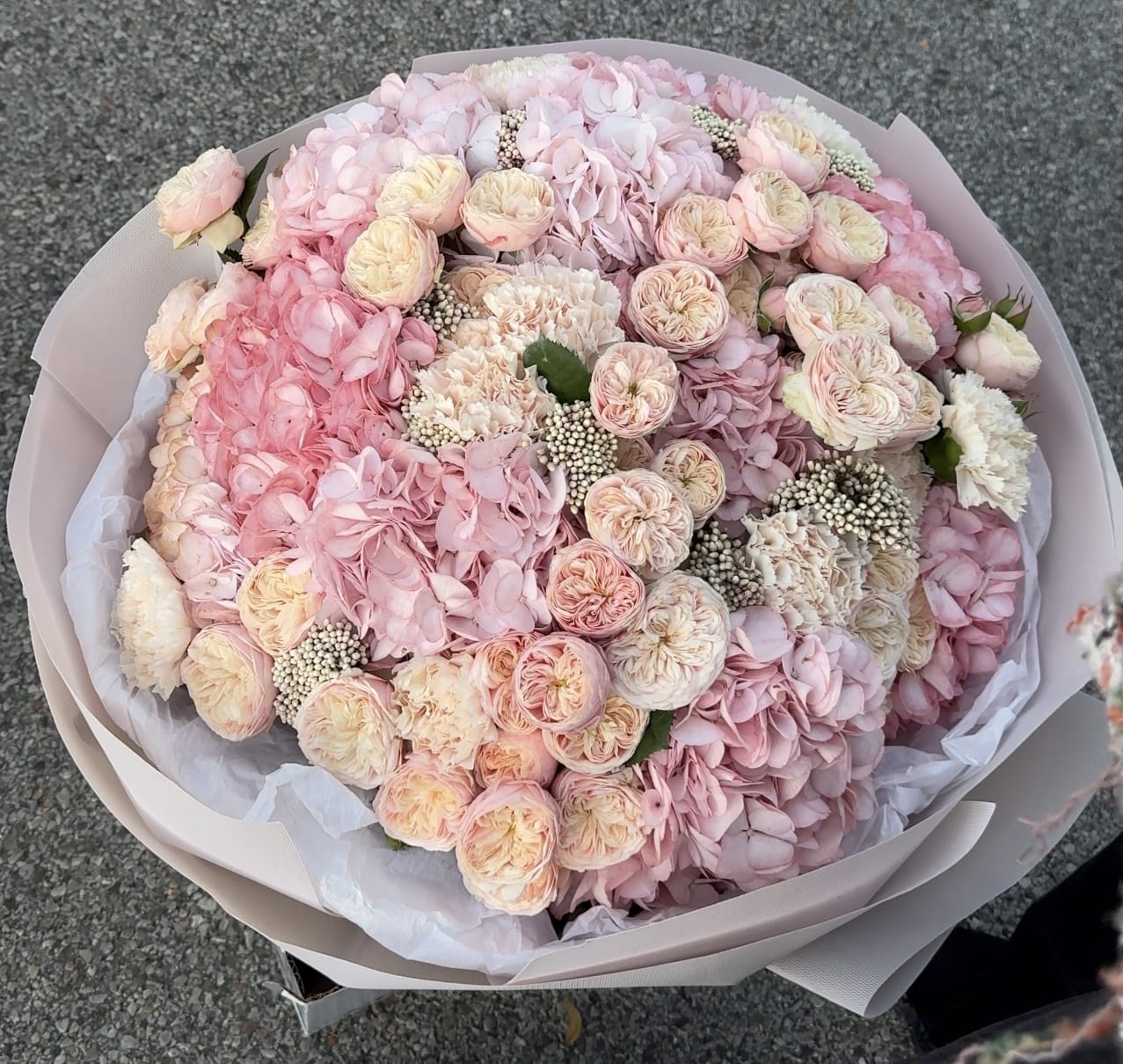 Hydrangea Rose Harmony