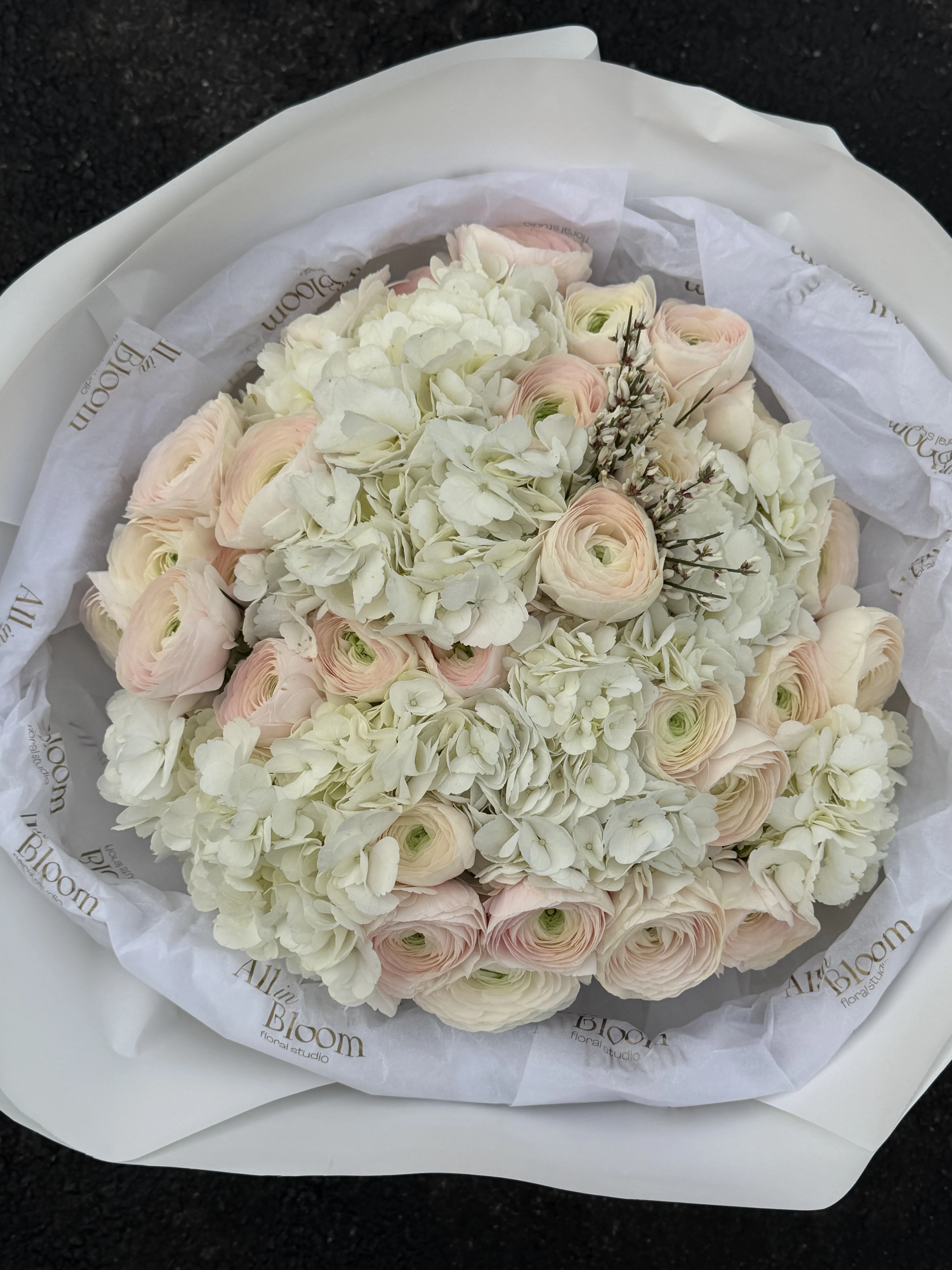 Hydrangea Rose Harmony