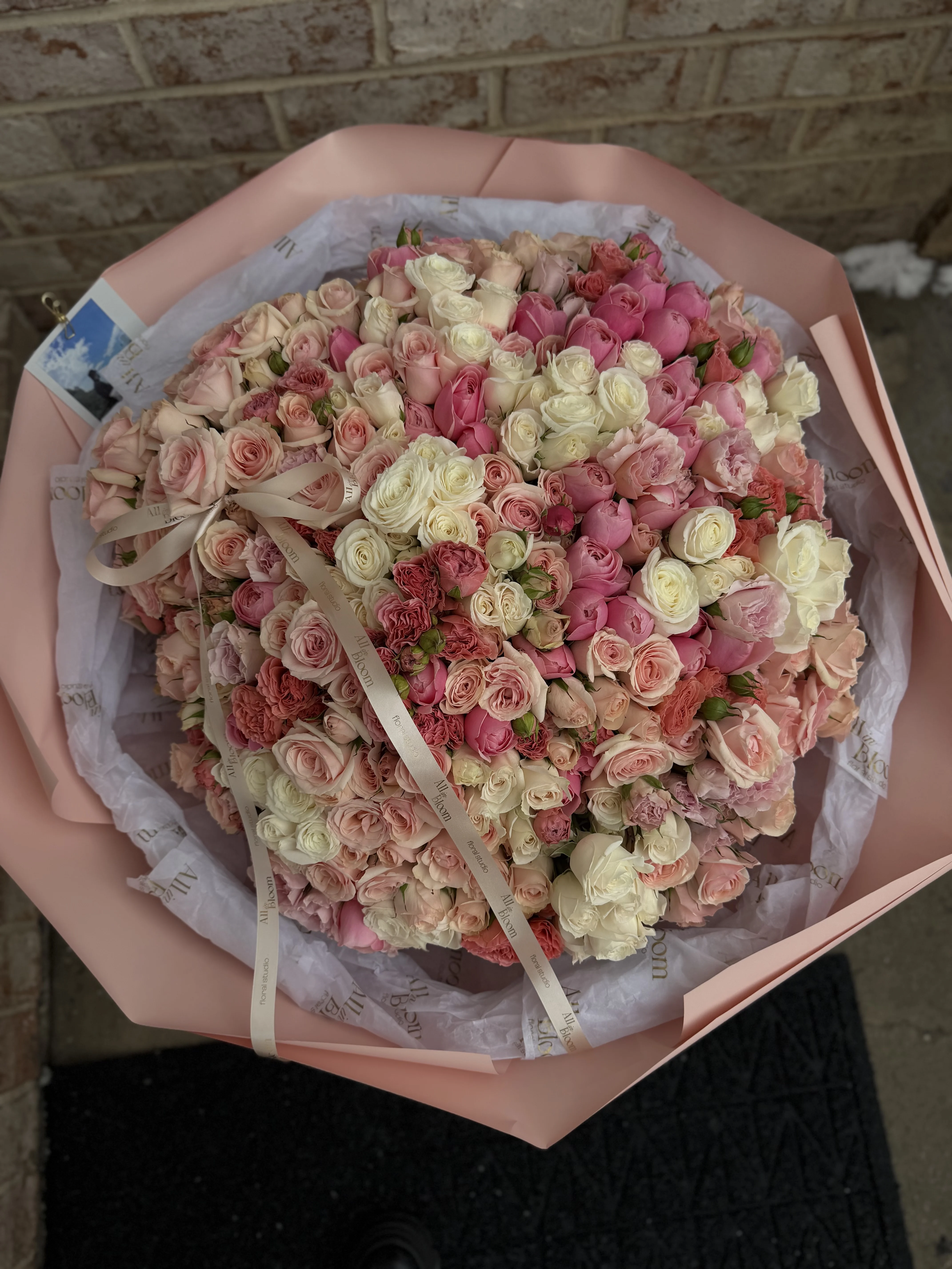 120 Spray Rose Mix