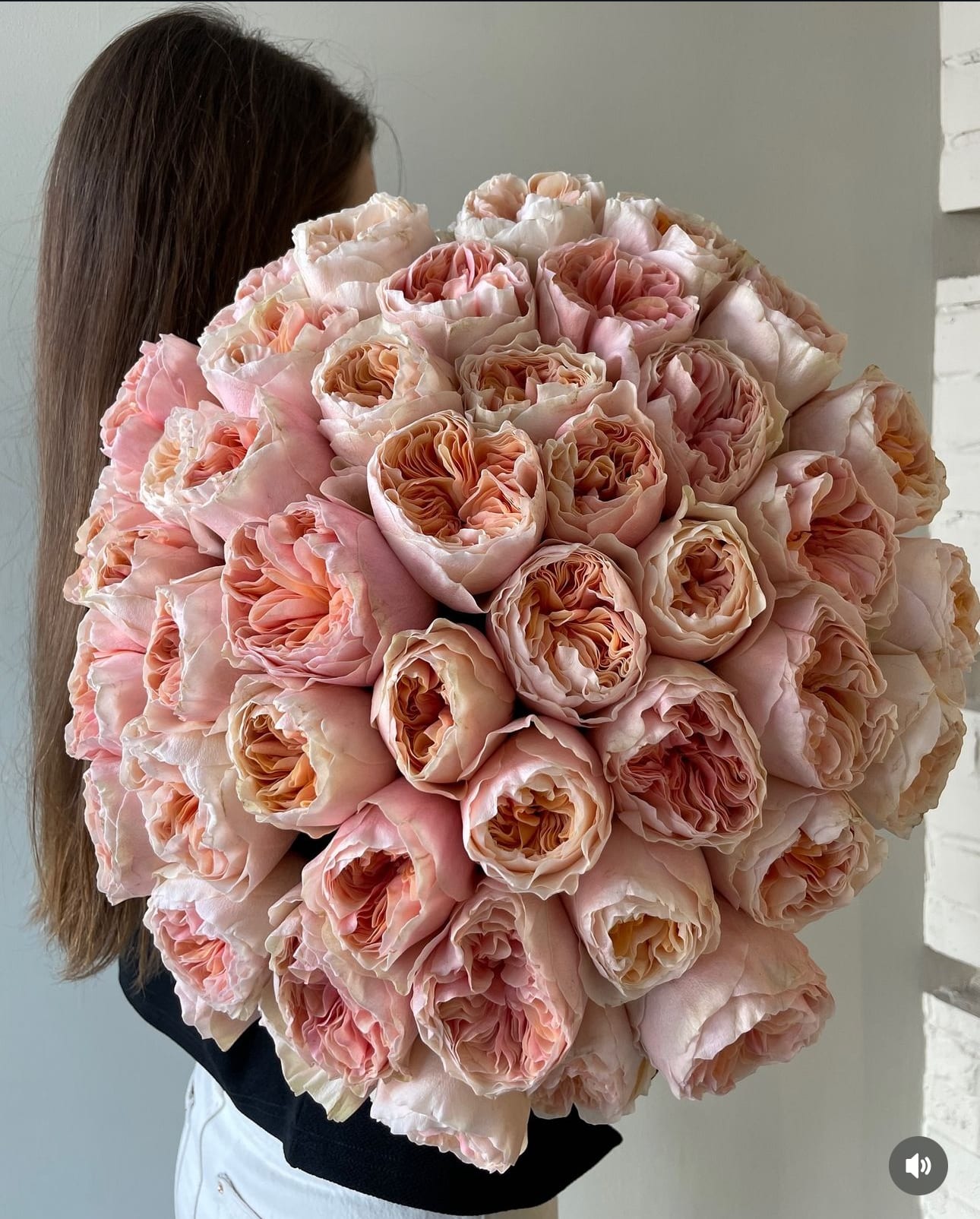 Tip Top Garden Roses