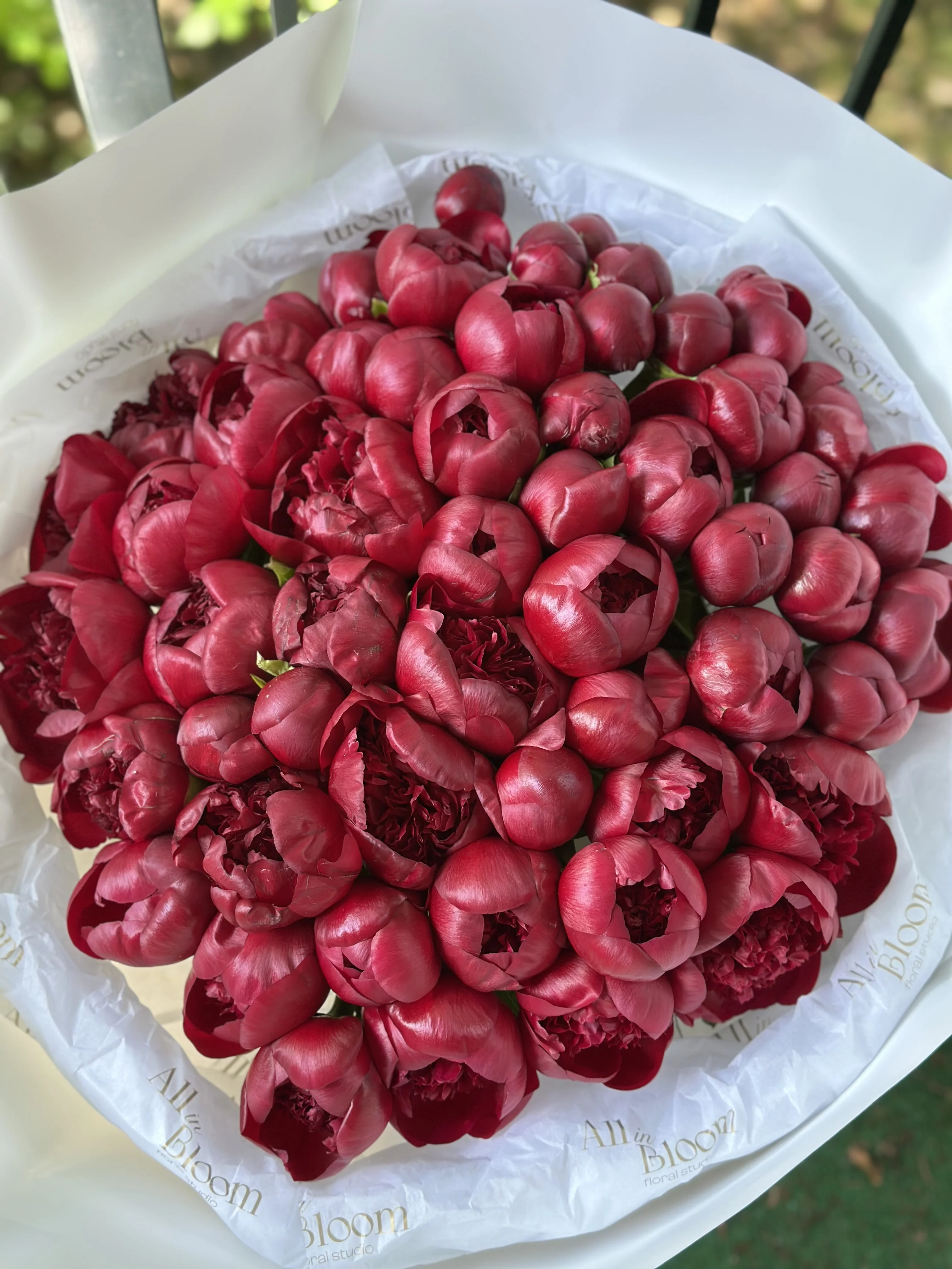 75 Burgundy Peonies
