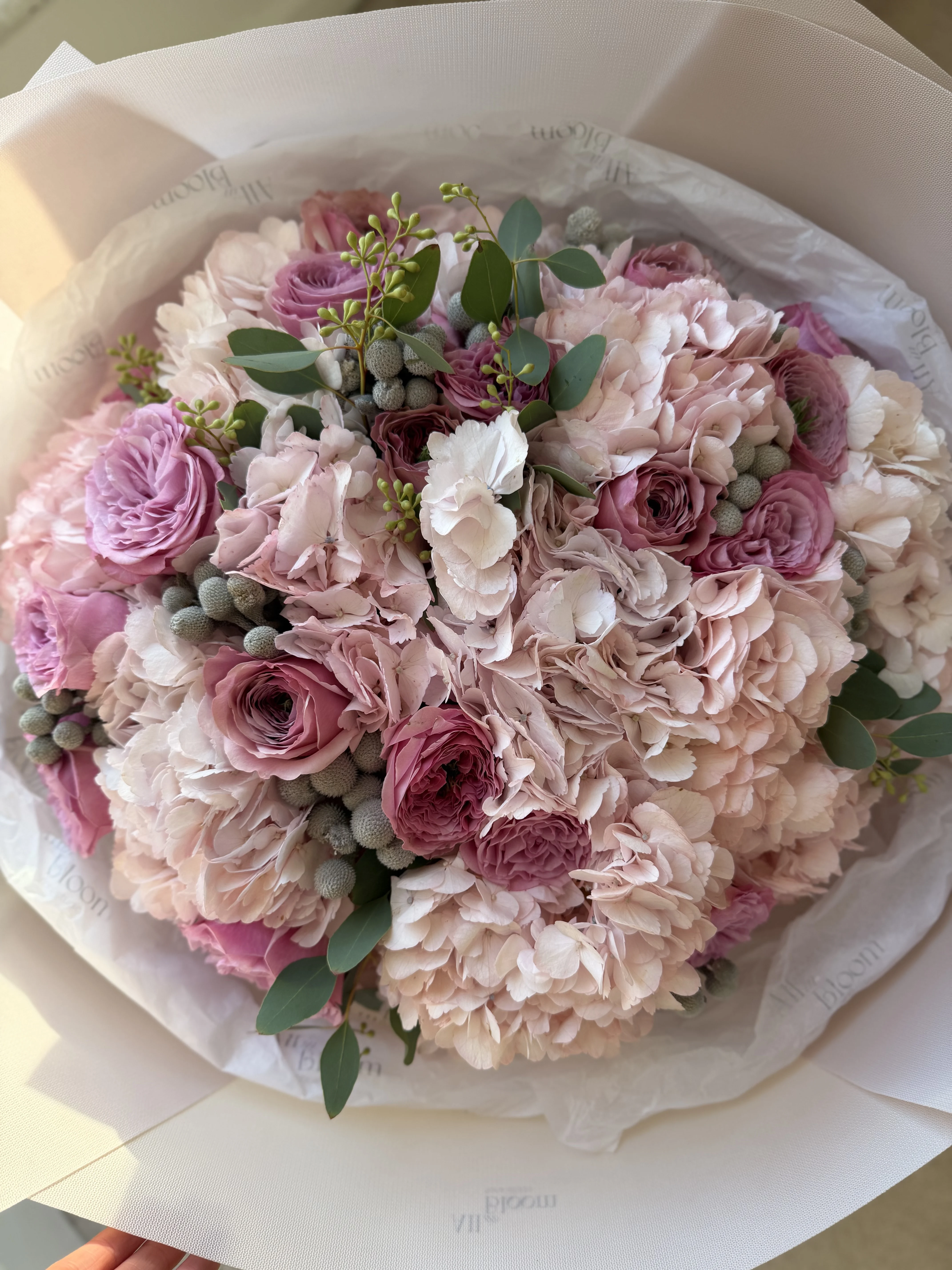 Blush Hydrangea & Garden Rose with Brunia
