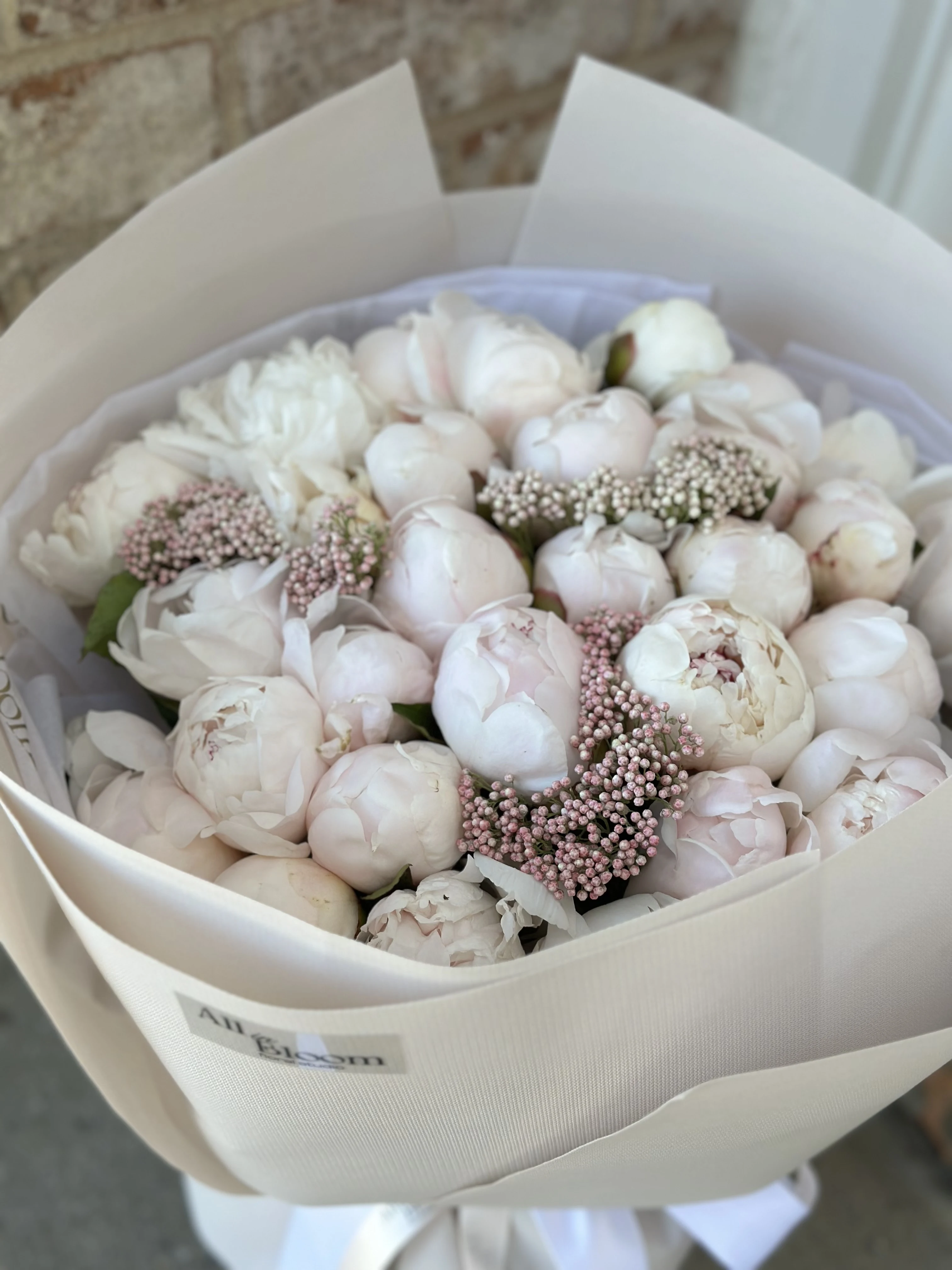 50 Marshmallow Peonies with Accent Blooms