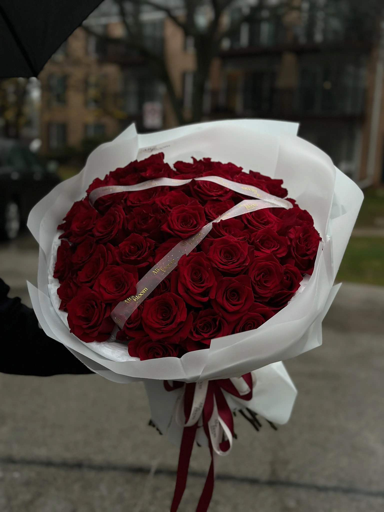 50 Classic Red Roses