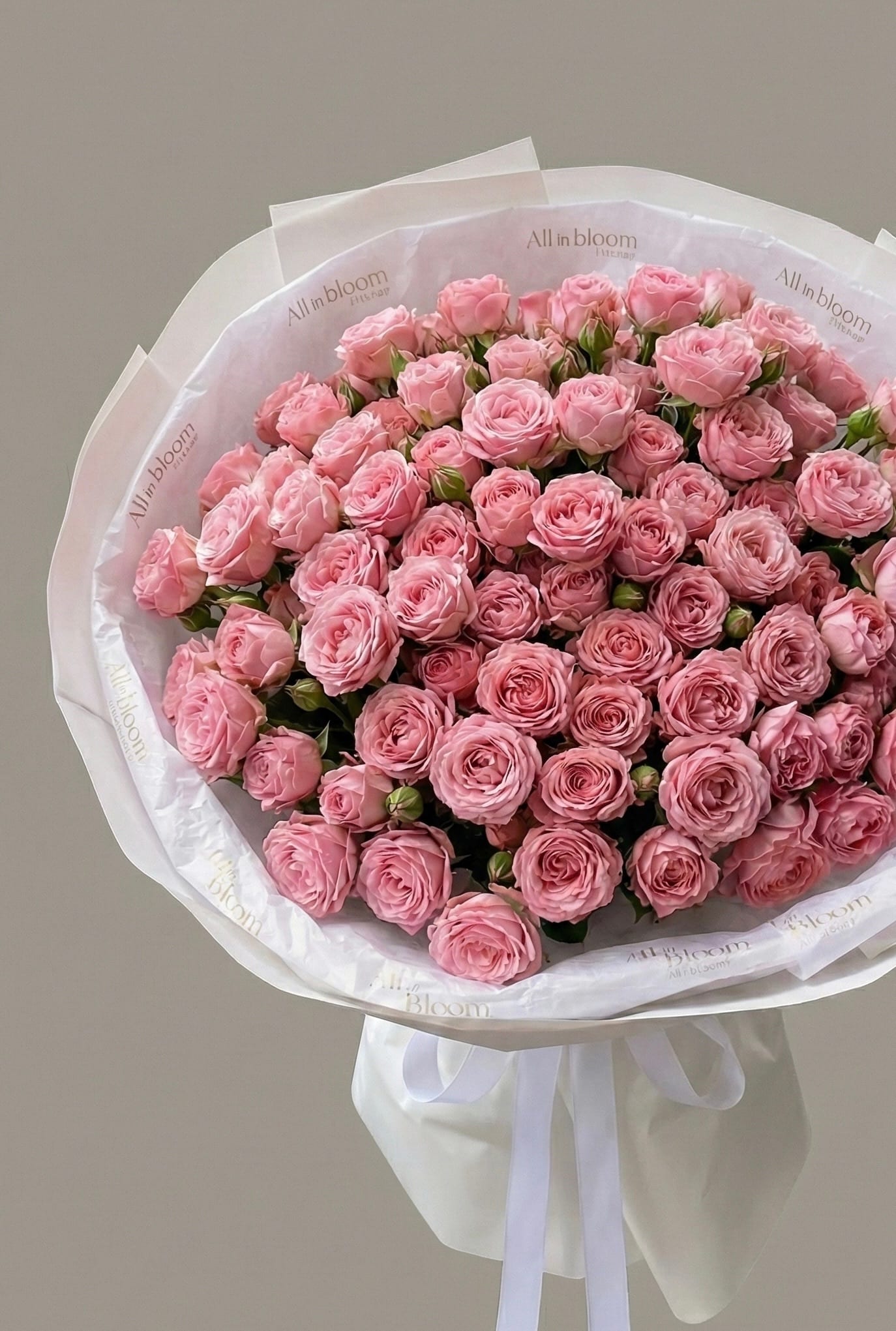 40 Pink Spray Roses