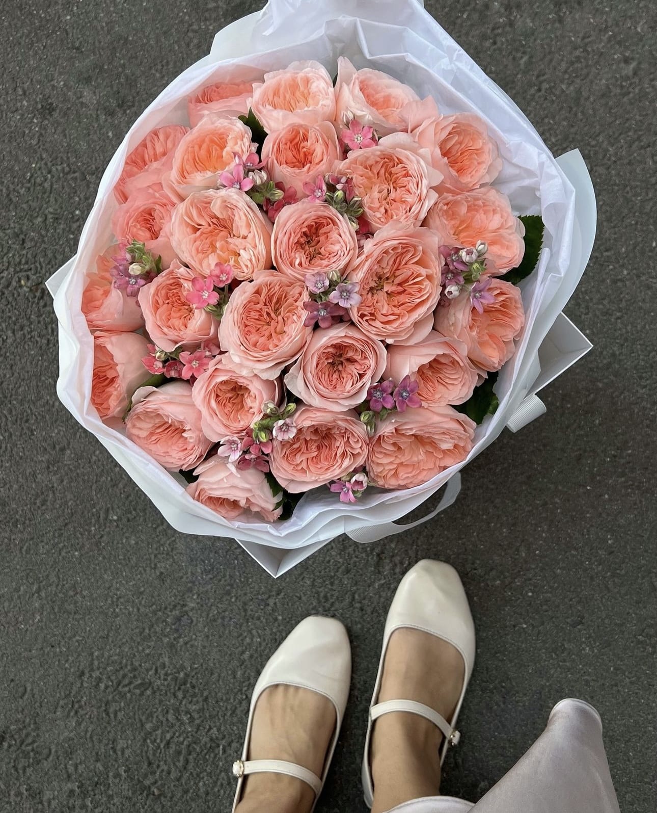 25 Garden Roses & Tweedia Charm