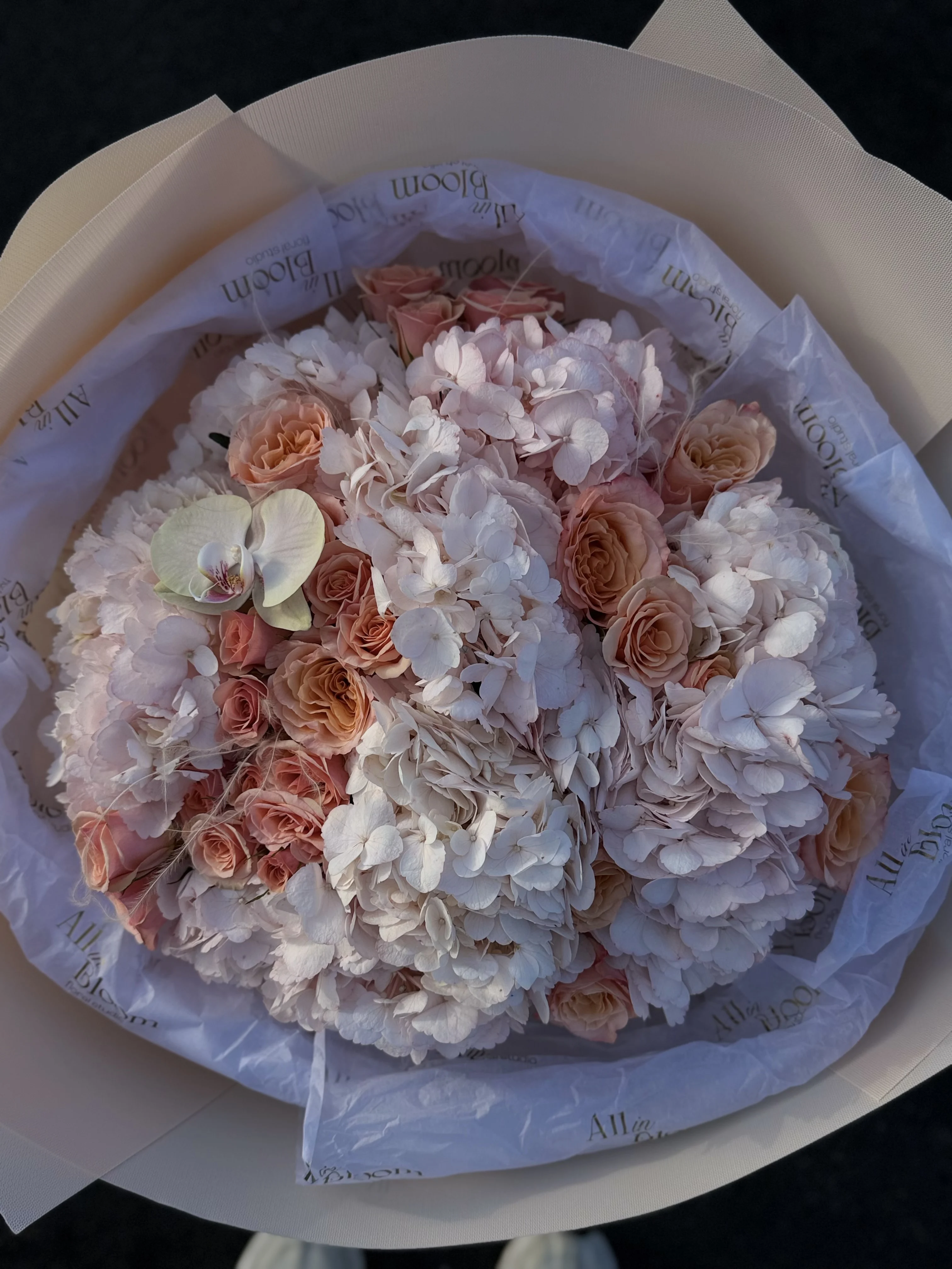 Soft Ivory Romance