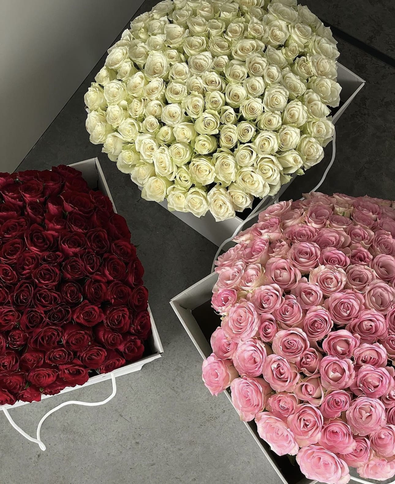 Signature Rose Collection