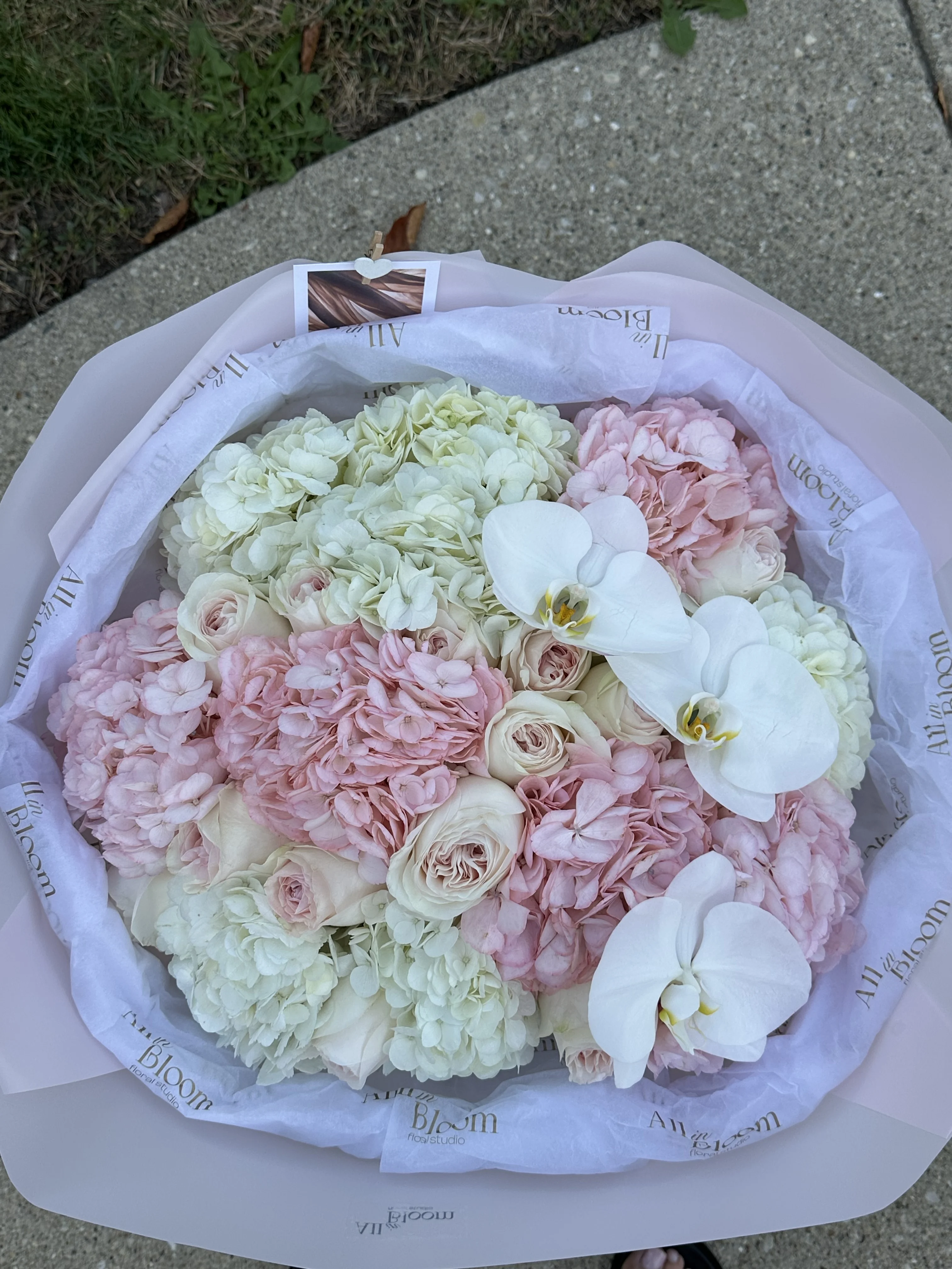 Blush Orchid Elegance