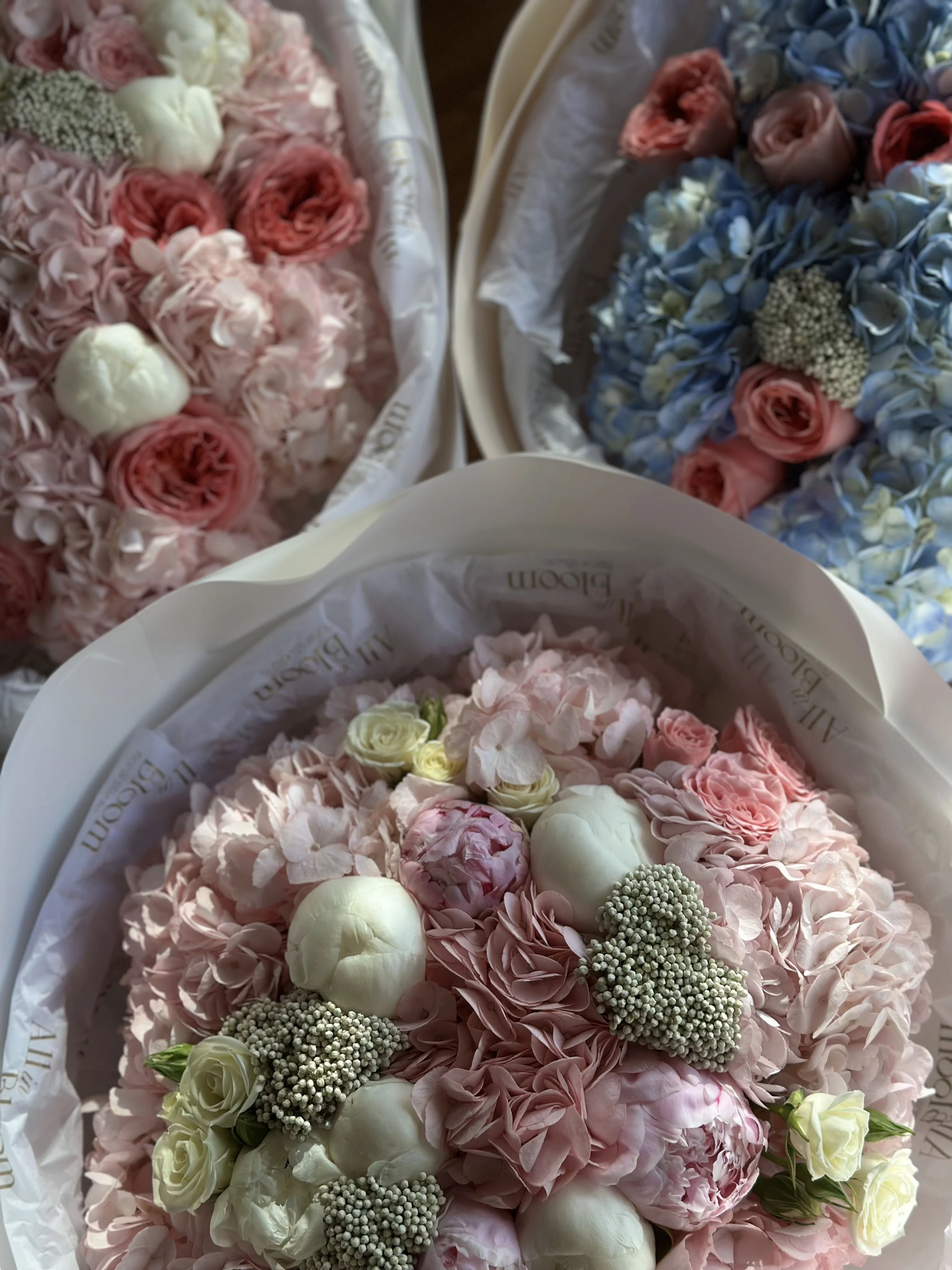 Pastel Bloom Collection