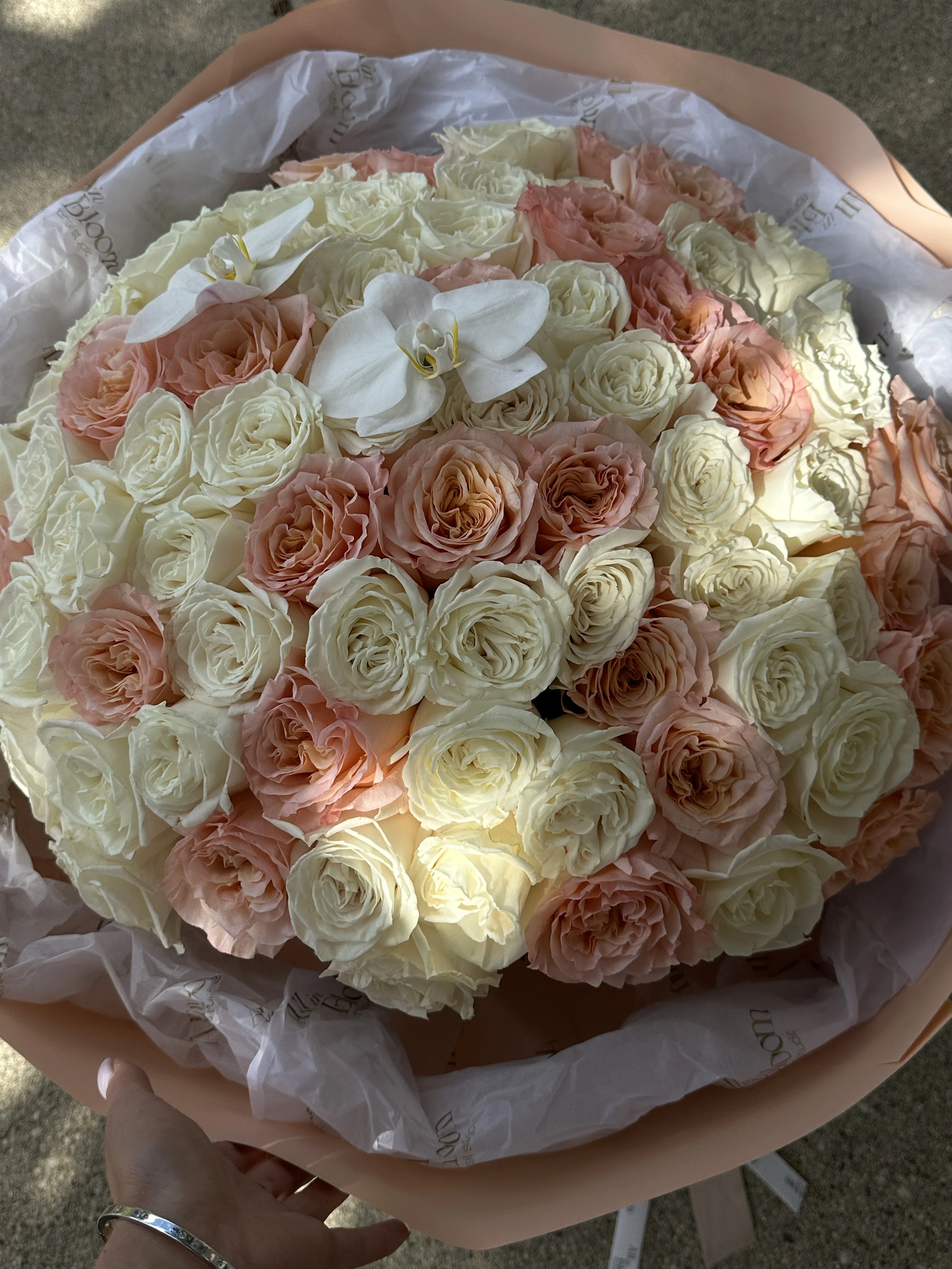 Blush & Ivory Garden Roses