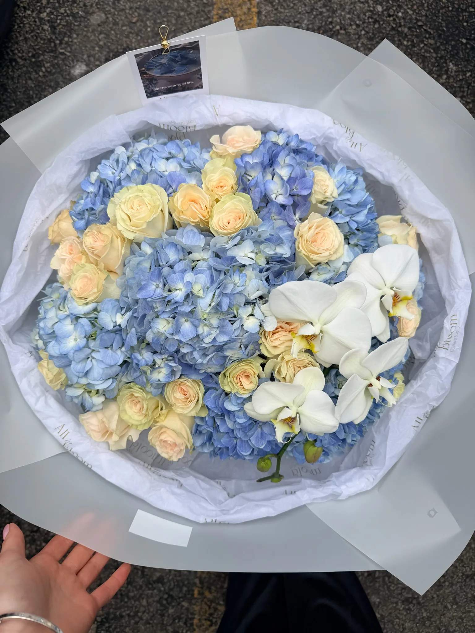 Hydrangea & Orchid Elegance Bouquet