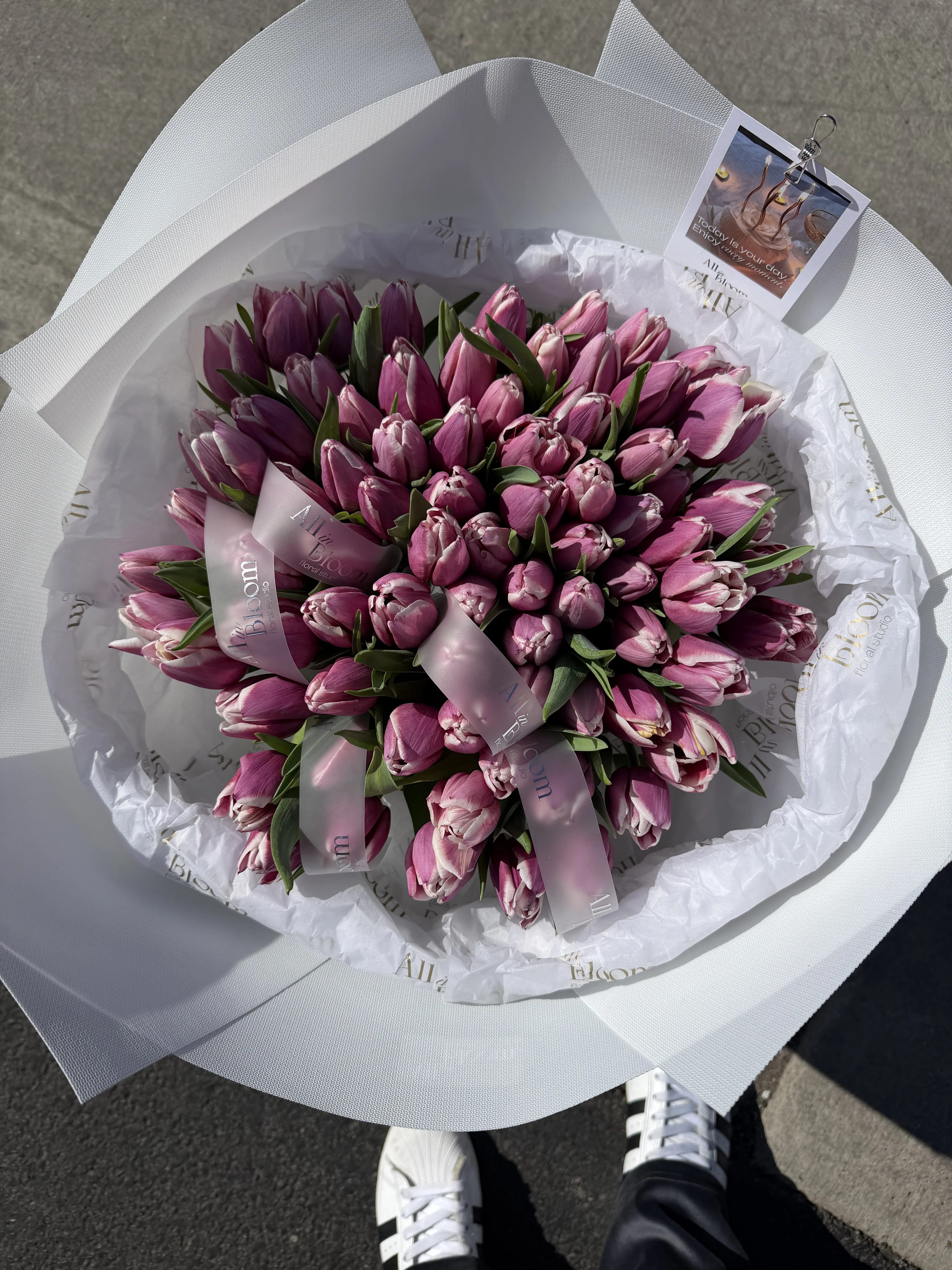 Elegant 80 Pink Tulips