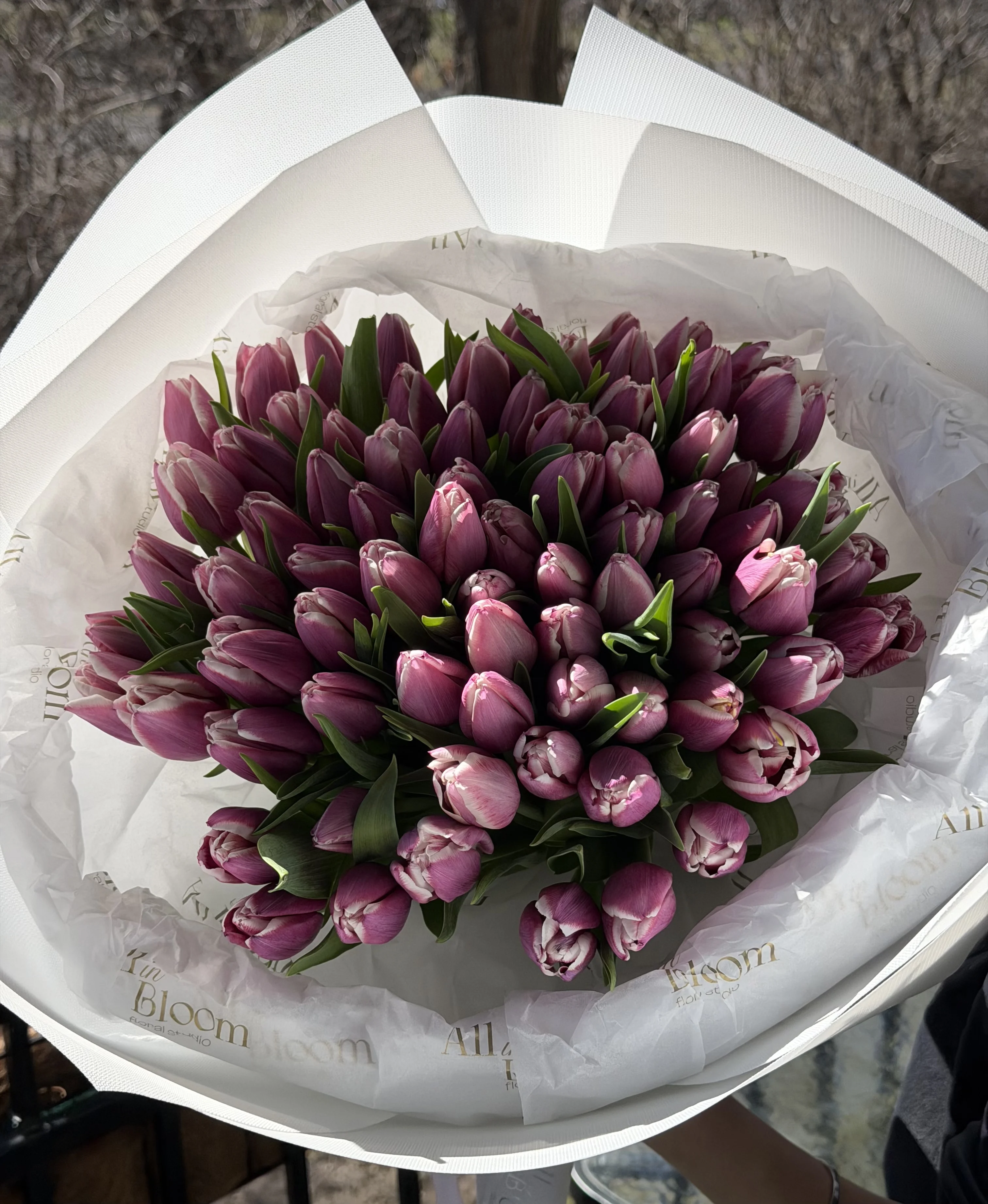 Elegant 80 Pink Tulips