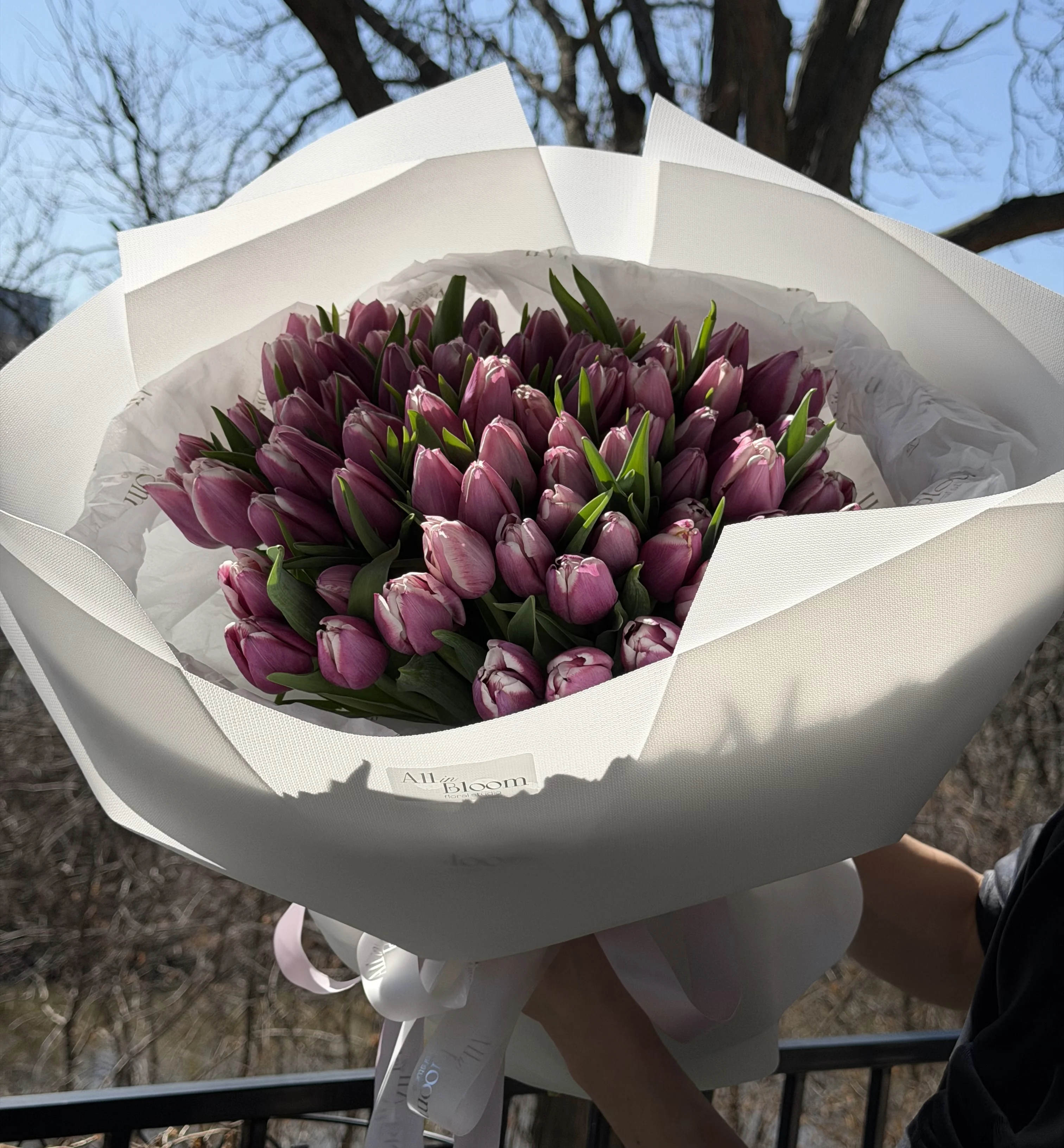 Elegant 80 Pink Tulips