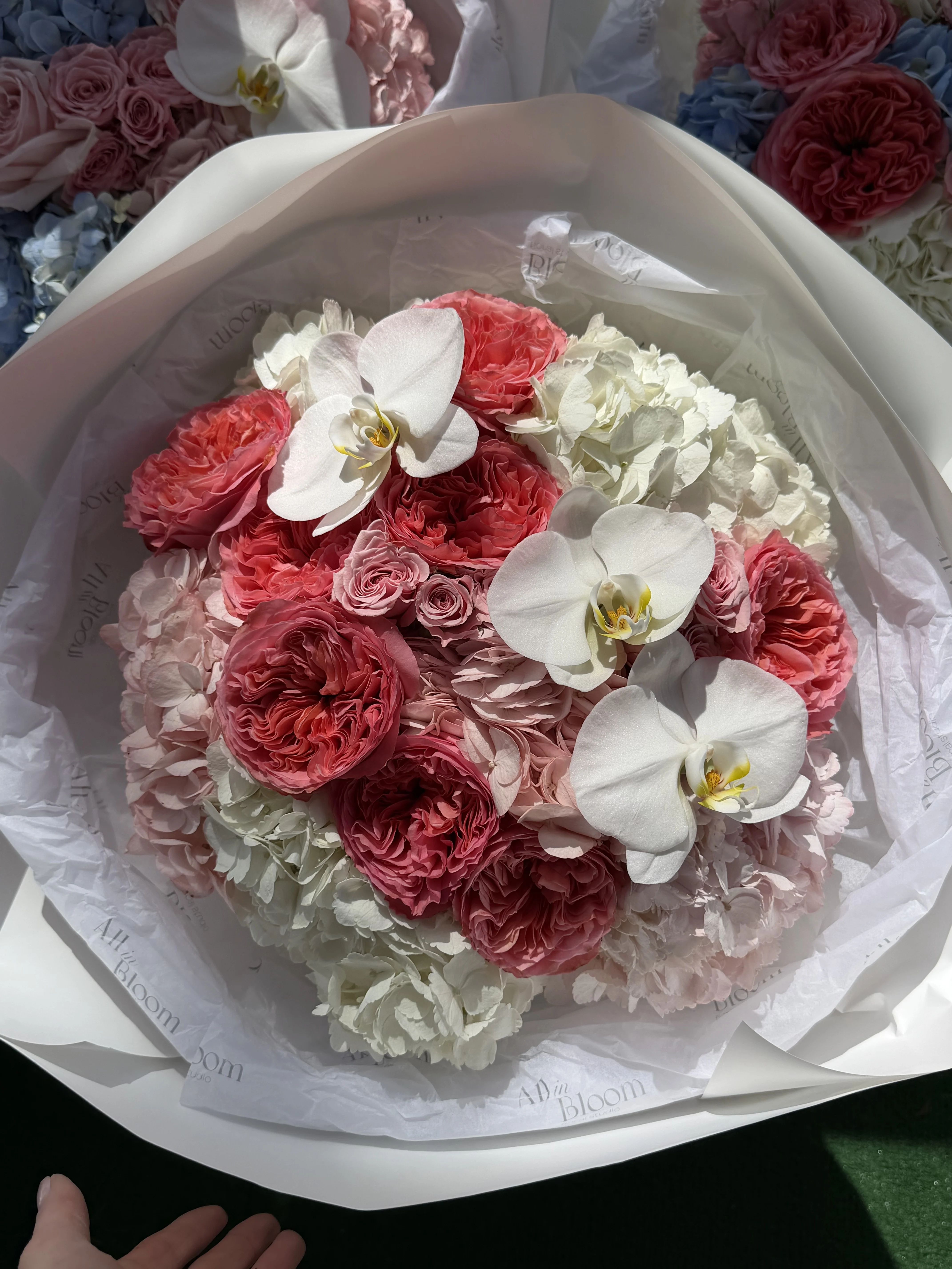 Candy Expression Elegance