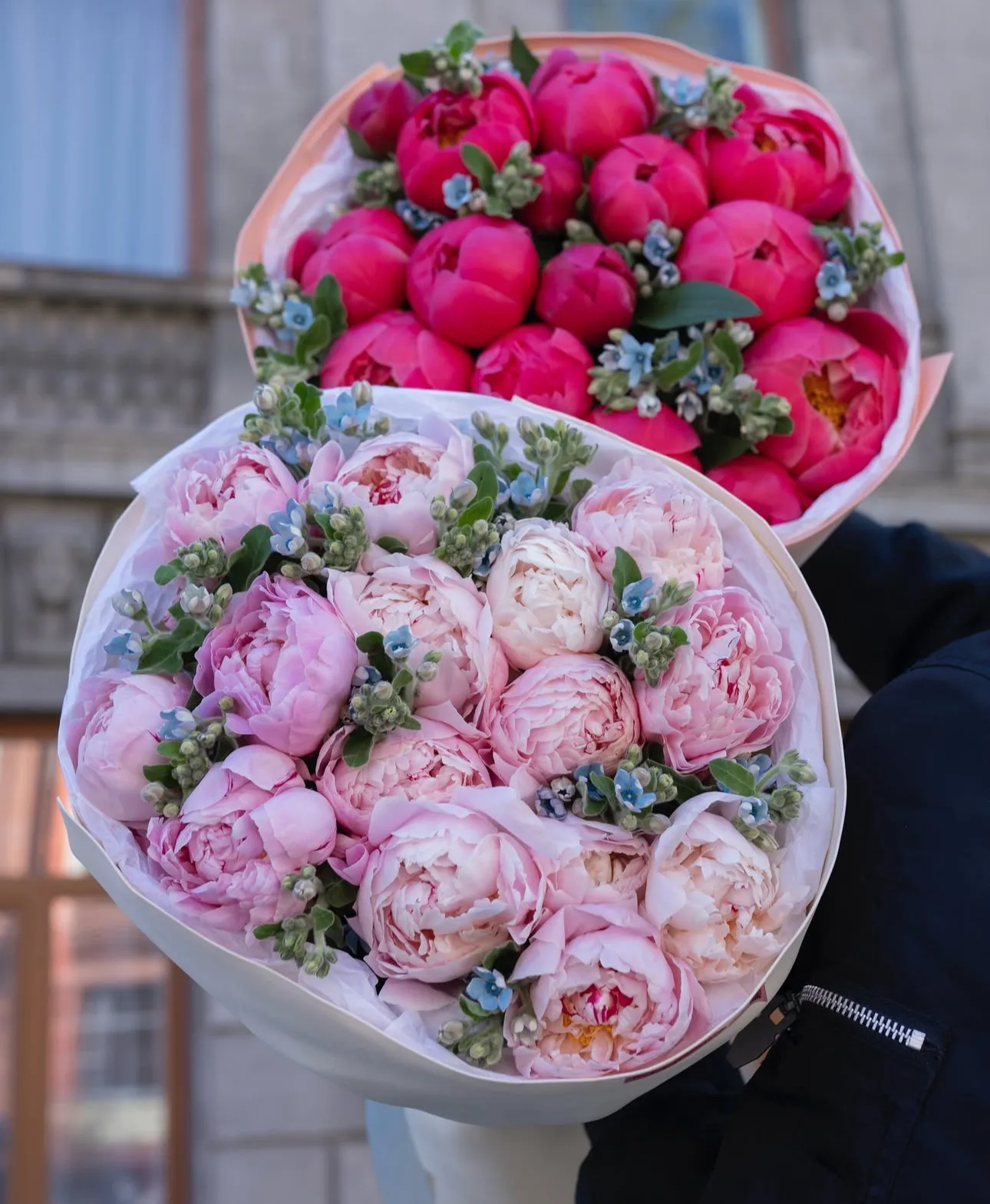 20 Sarah Bernhardt & 20 Coral Charm Peonies
