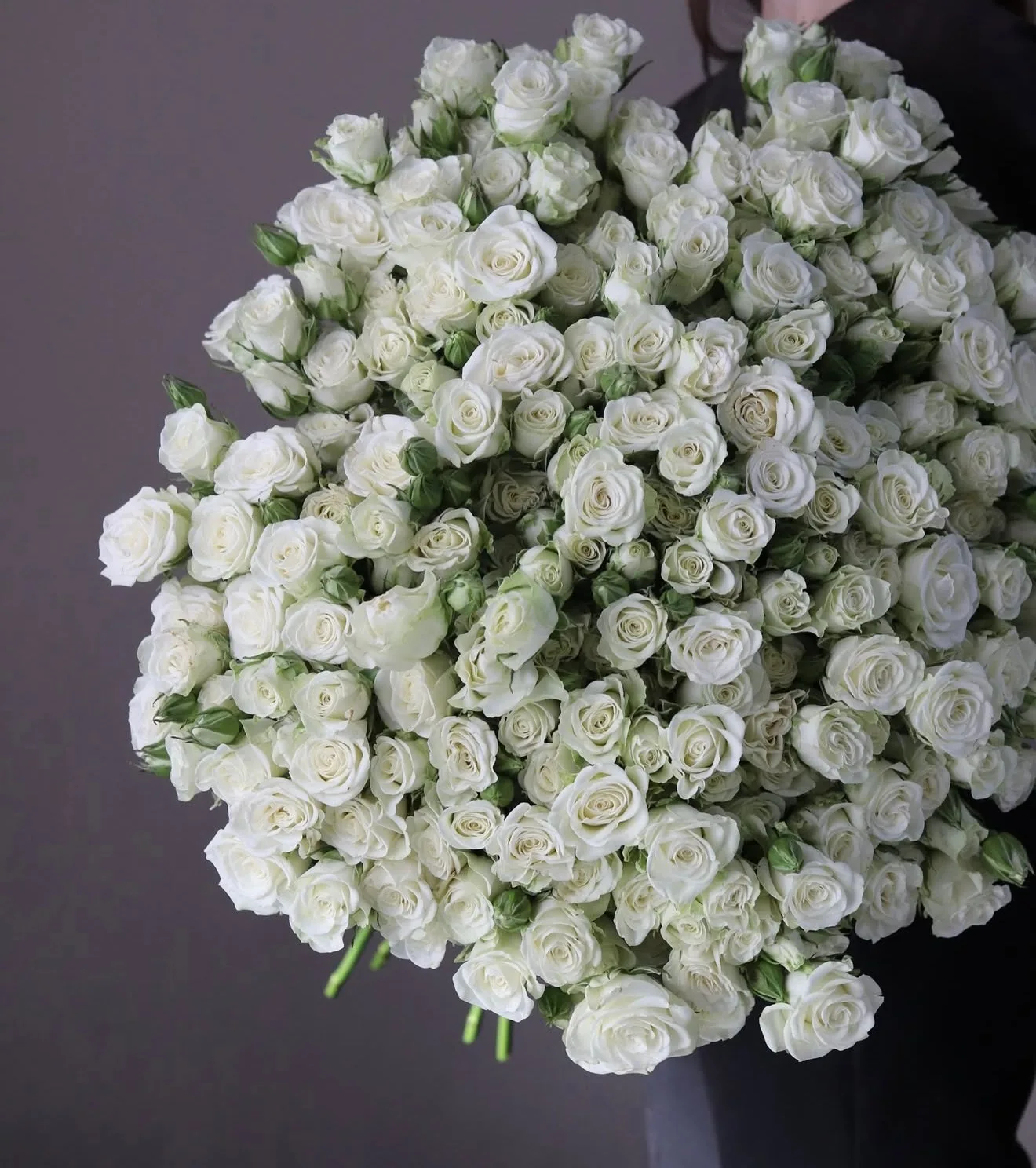 100 White Spray Roses Cloud