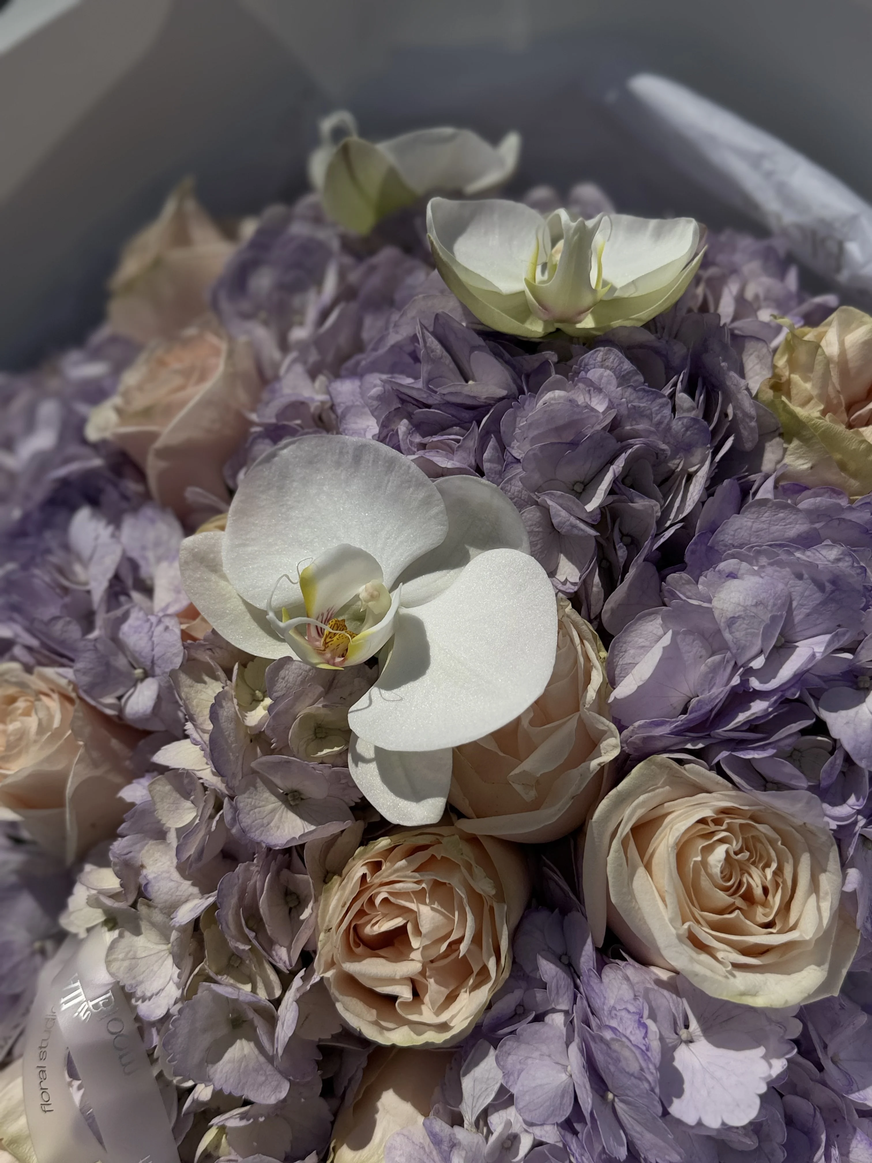 Lavender Spring Dream