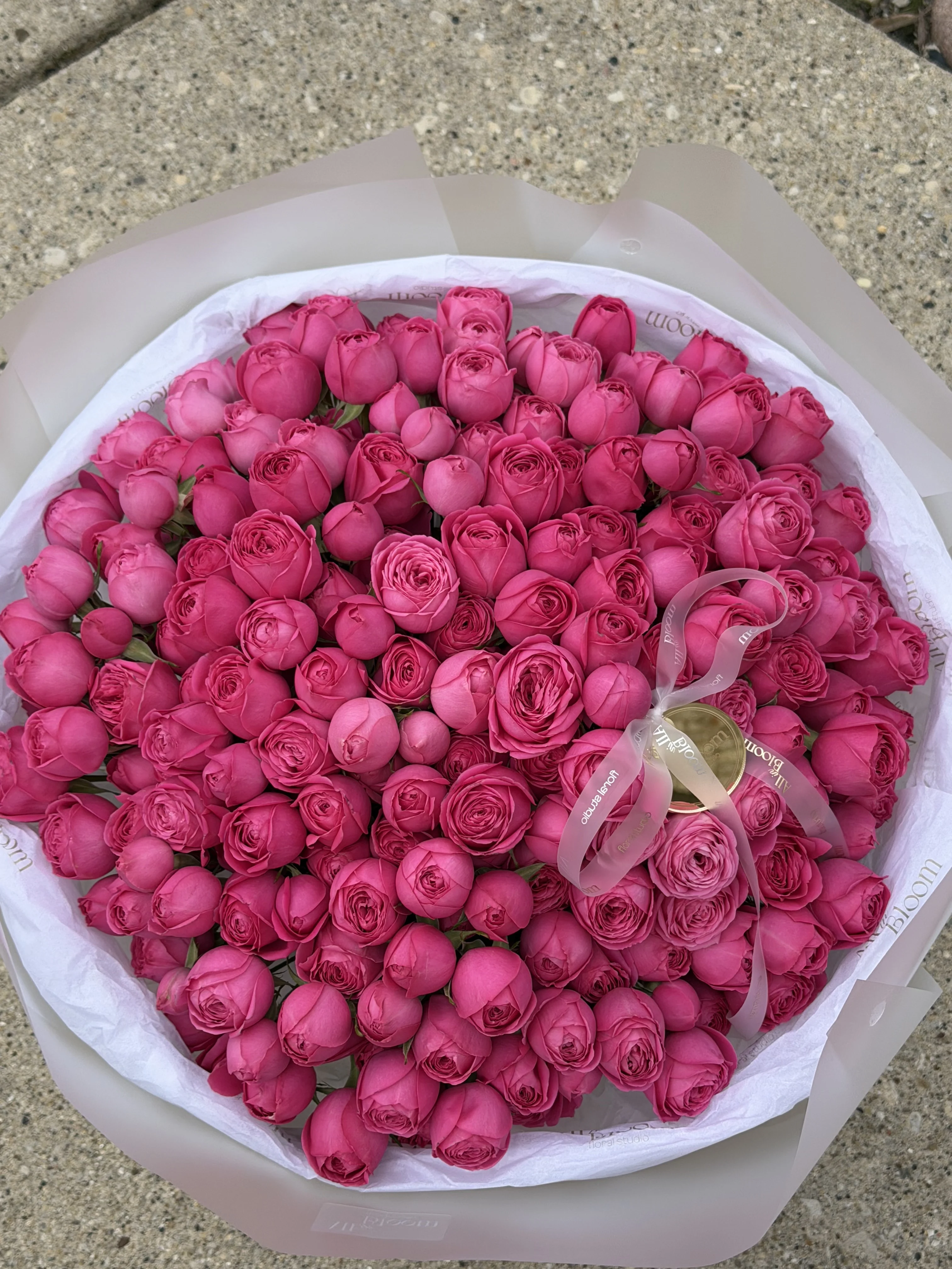 Pink Obsession