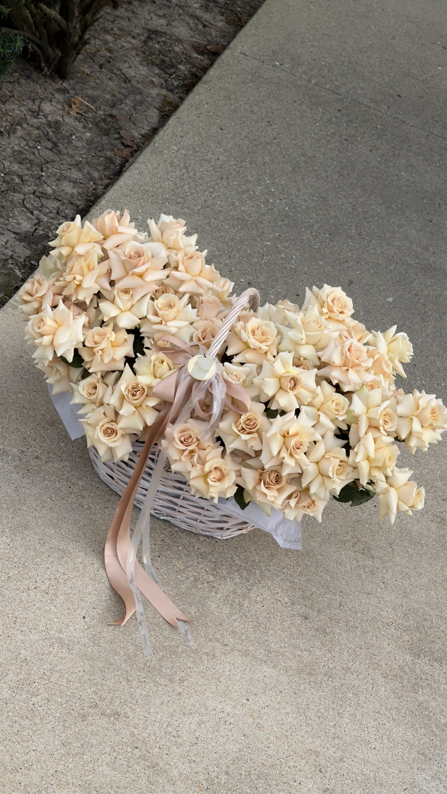 Elegant Cream Rose Basket