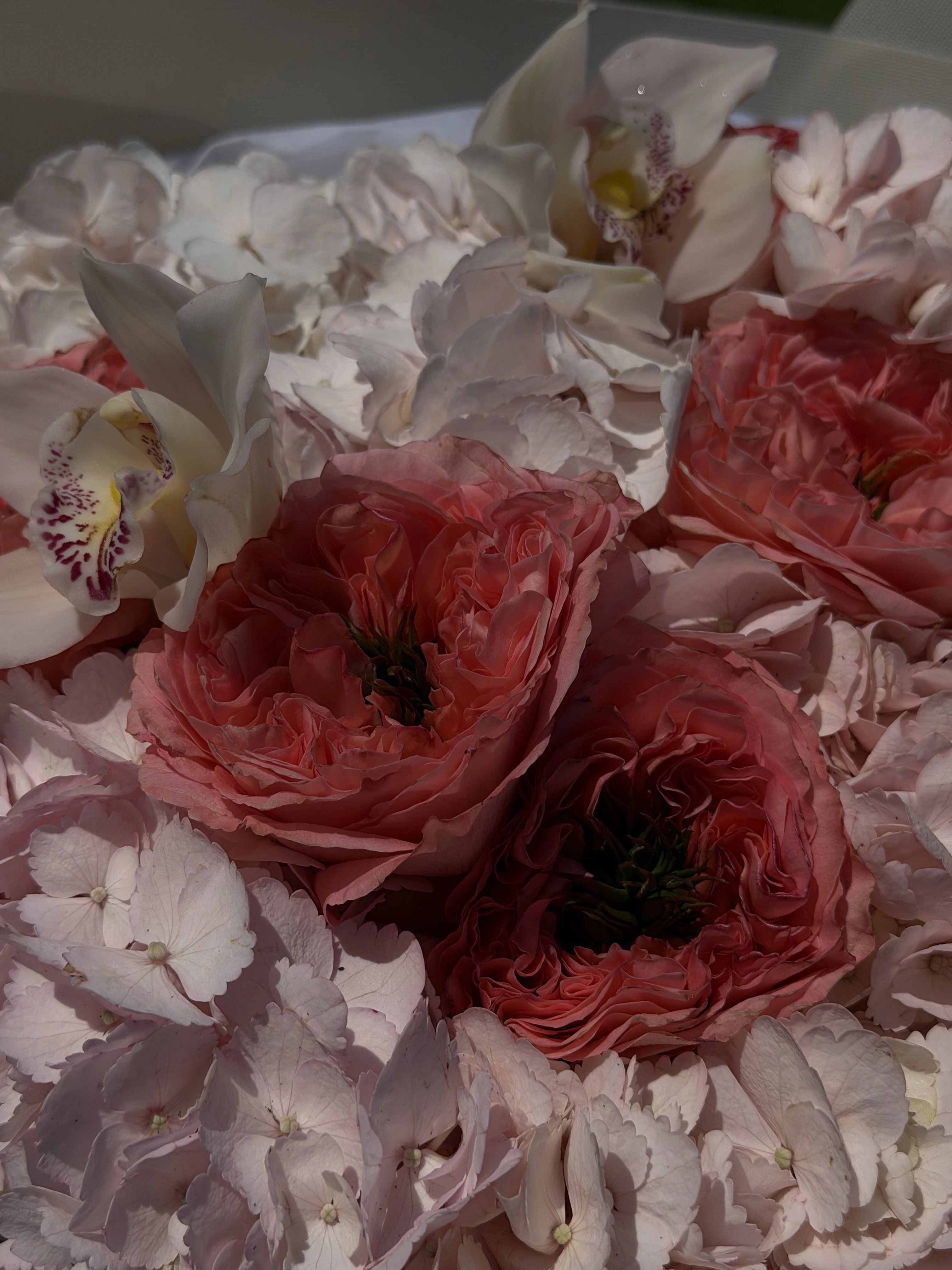 Mandarin X-Pression Garden Rose Bouquet