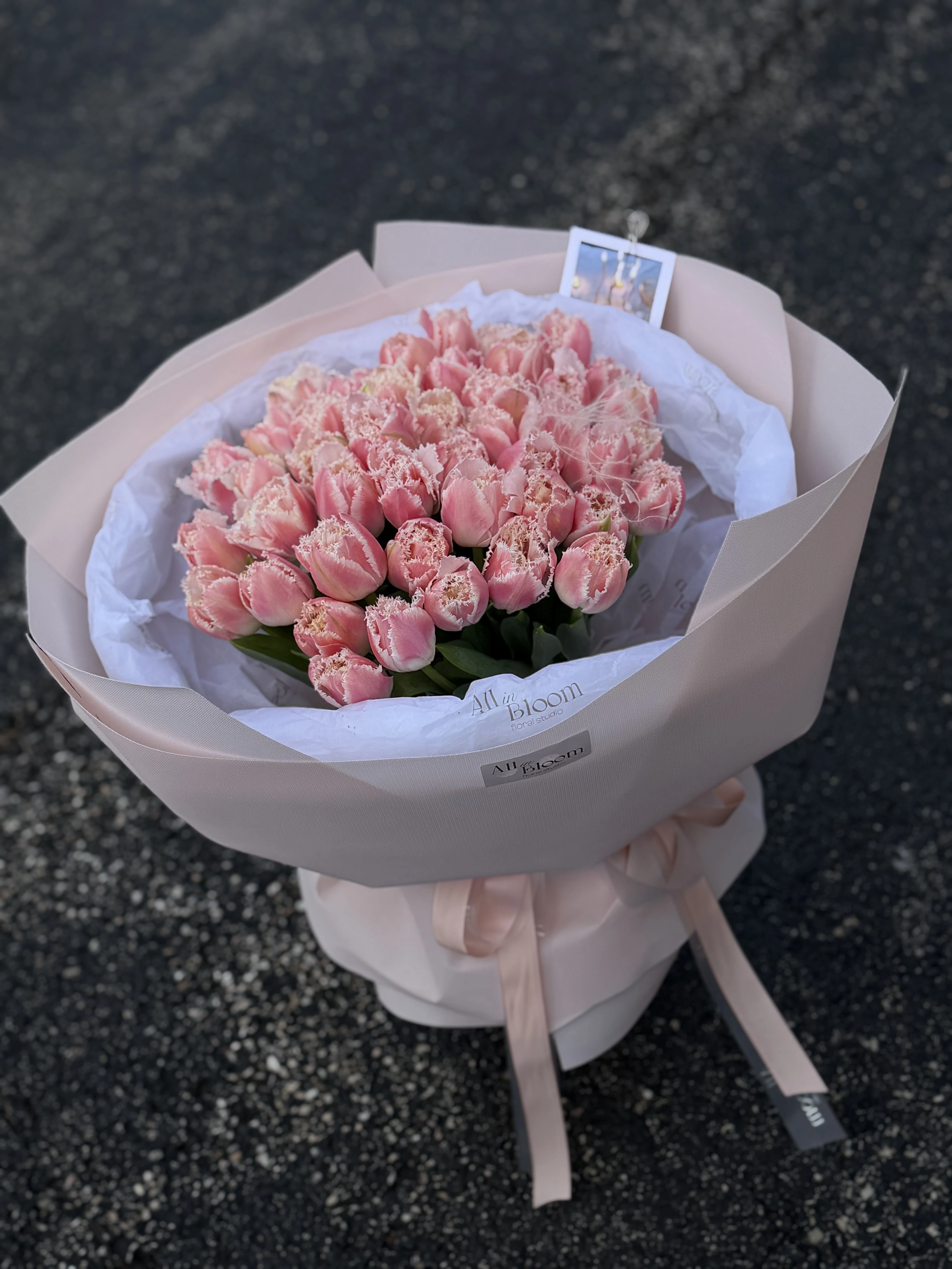 Blush Lace Garden — 45 Fringed Pink Tulips 🌸