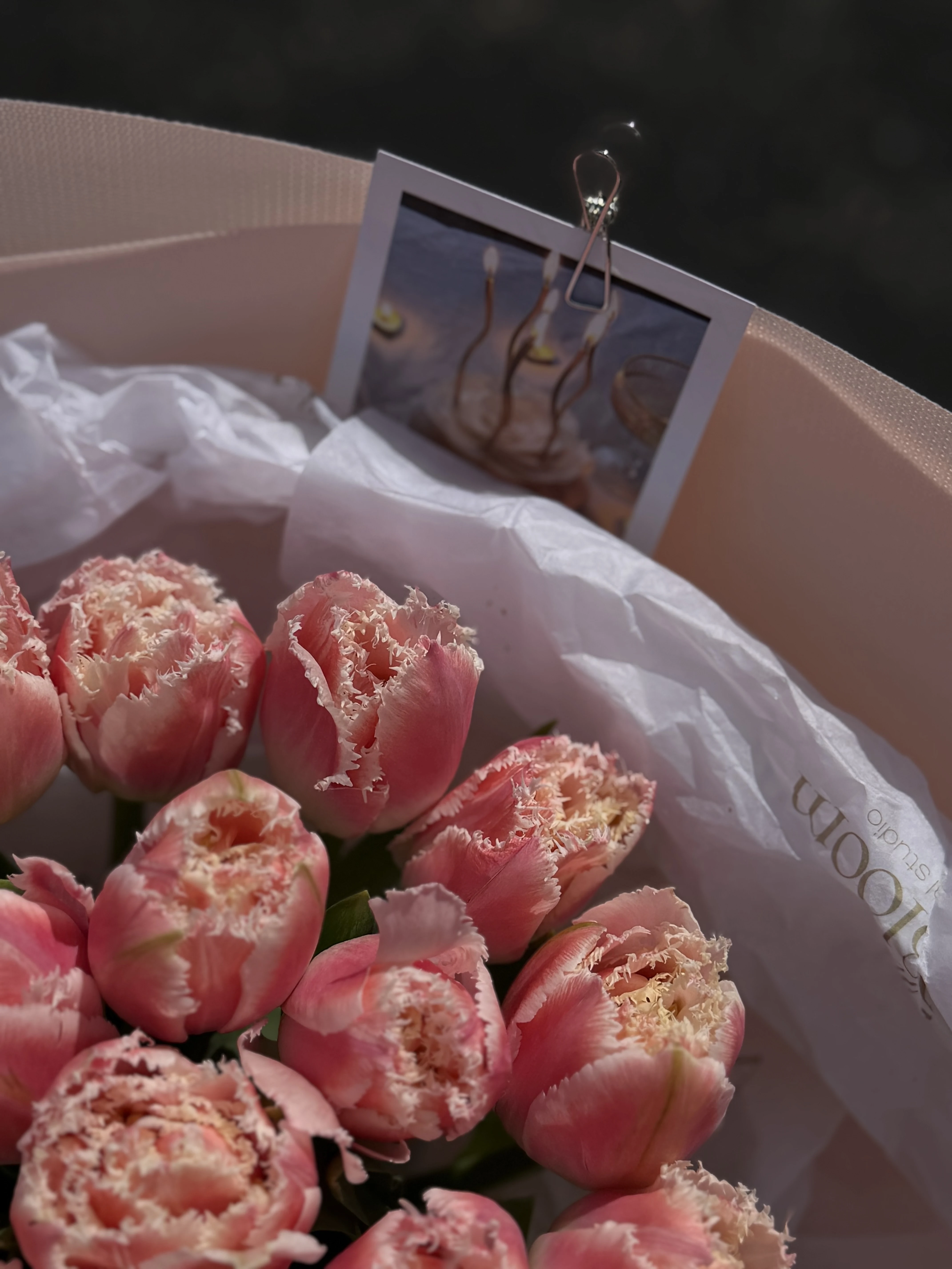 Blush Lace Garden — 45 Fringed Pink Tulips 🌸