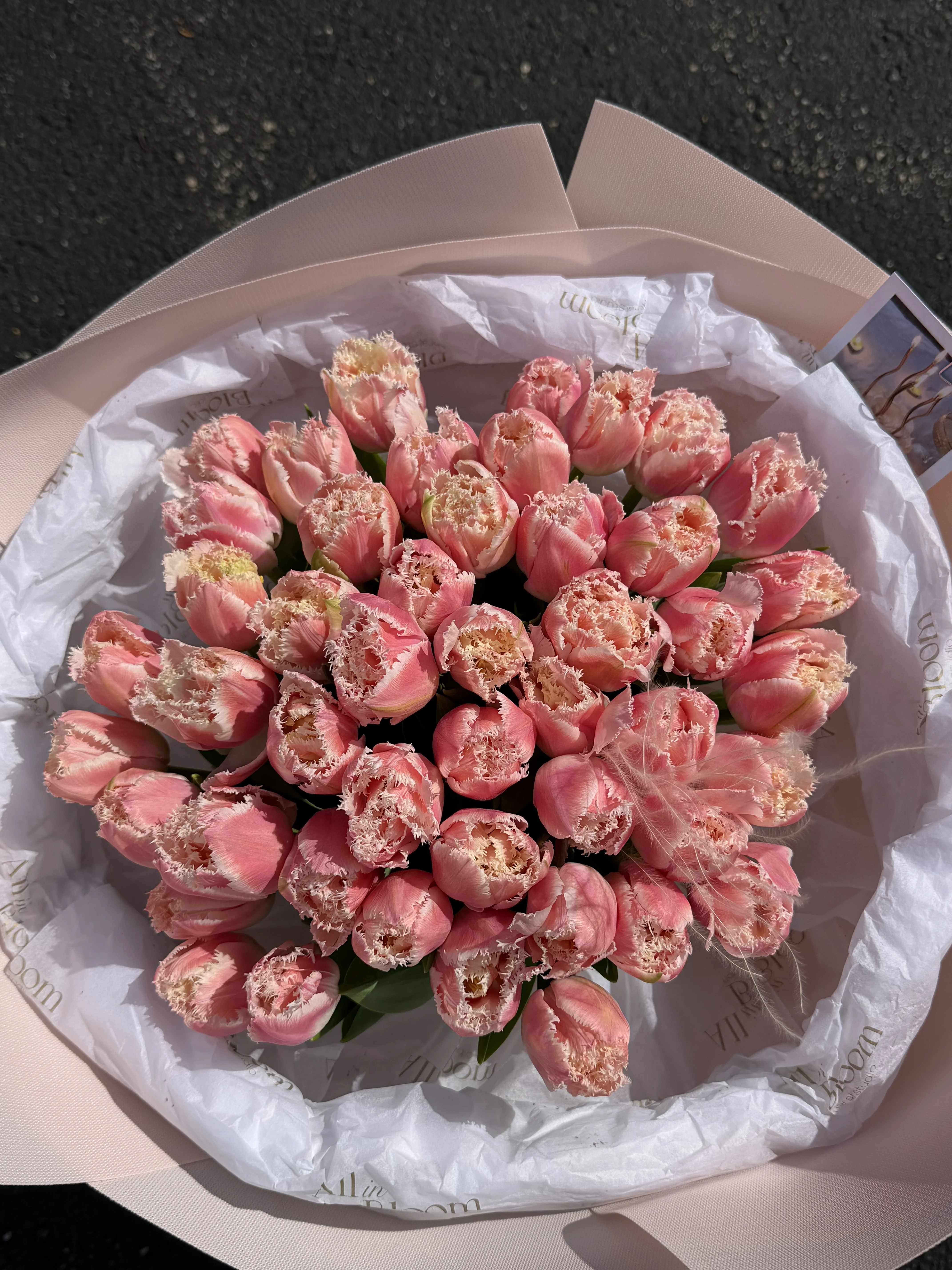 Blush Lace Garden — 45 Fringed Pink Tulips 🌸