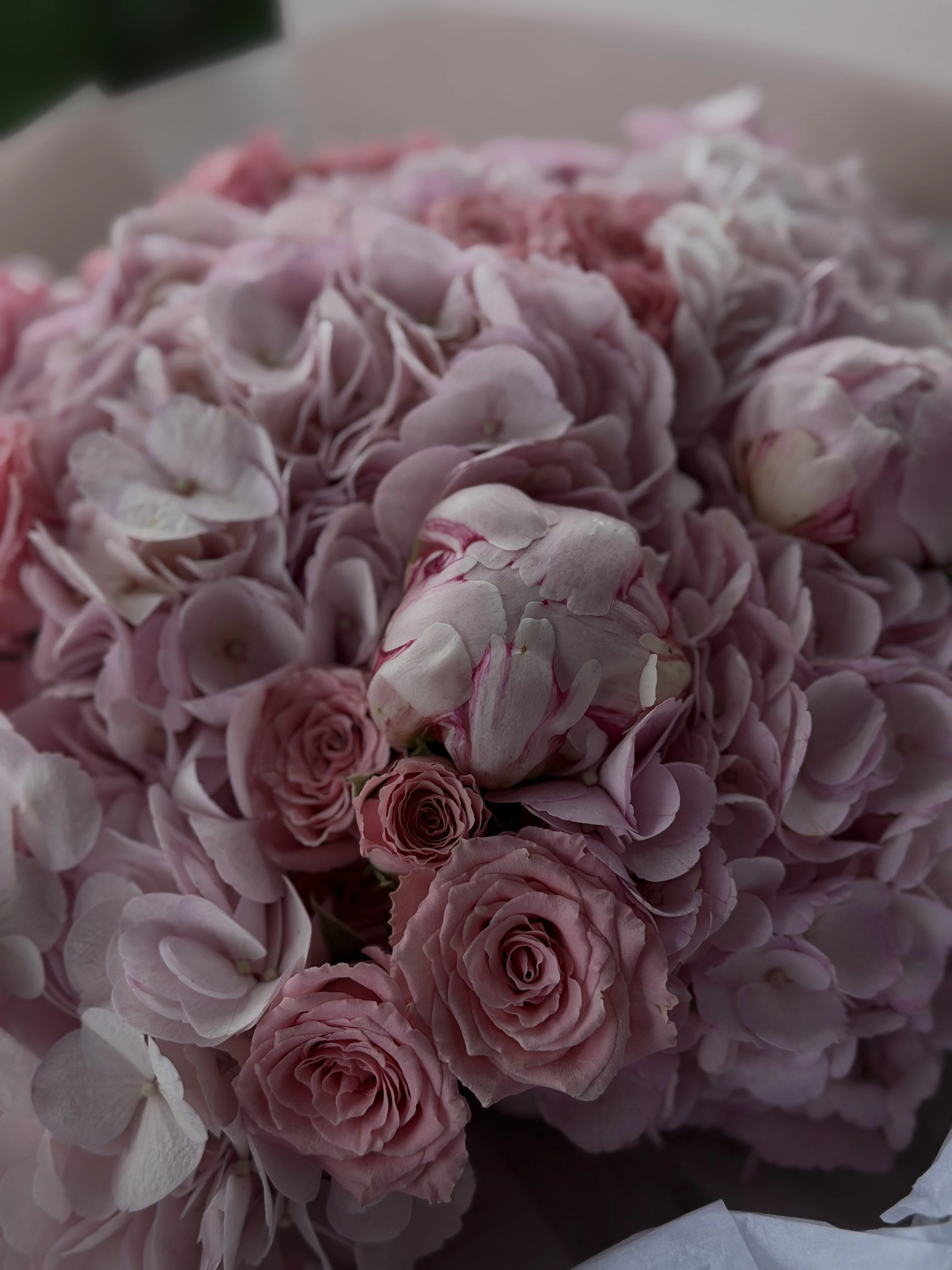 Heavenly Pink