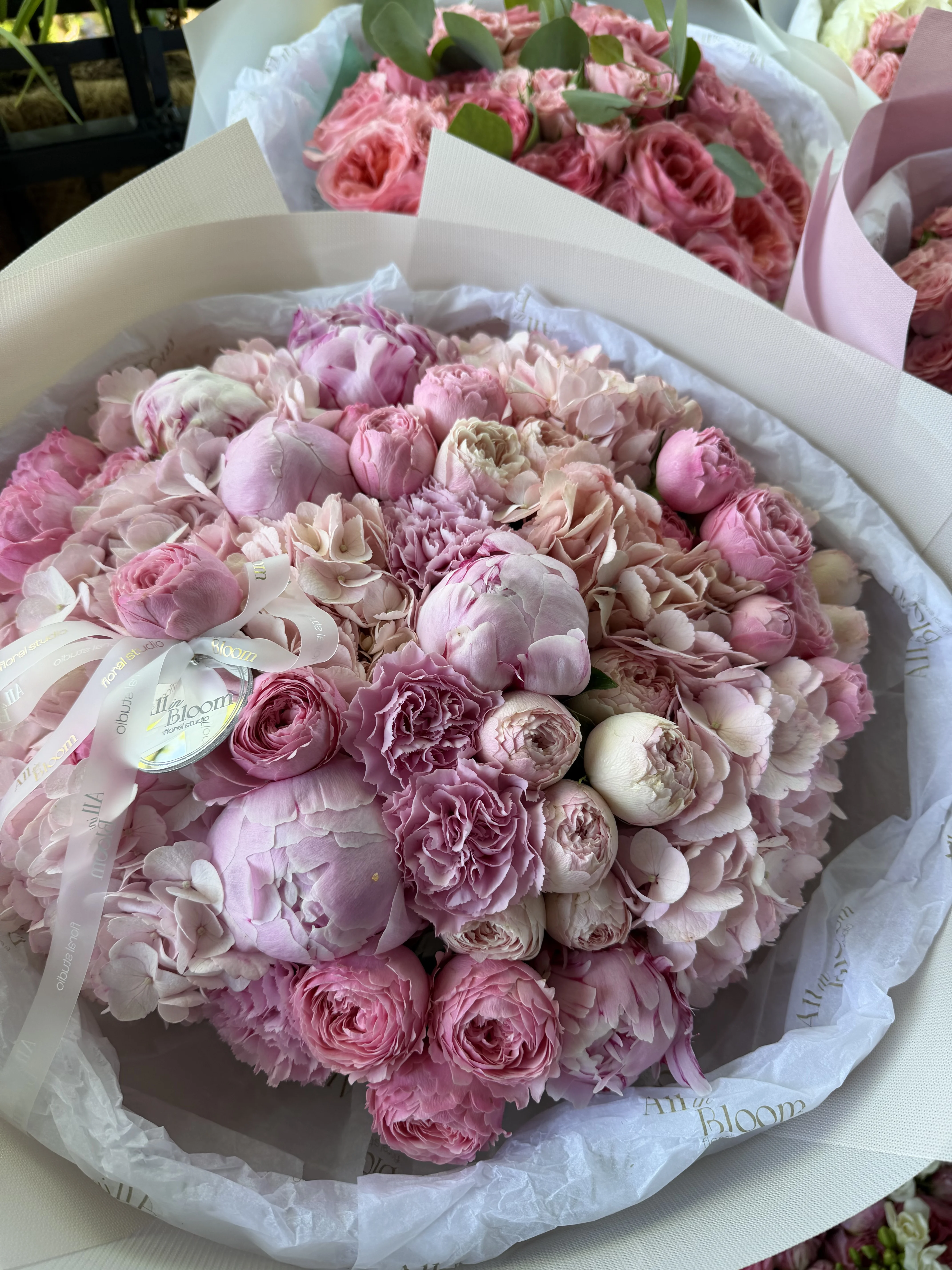 Blush Poetry 💗