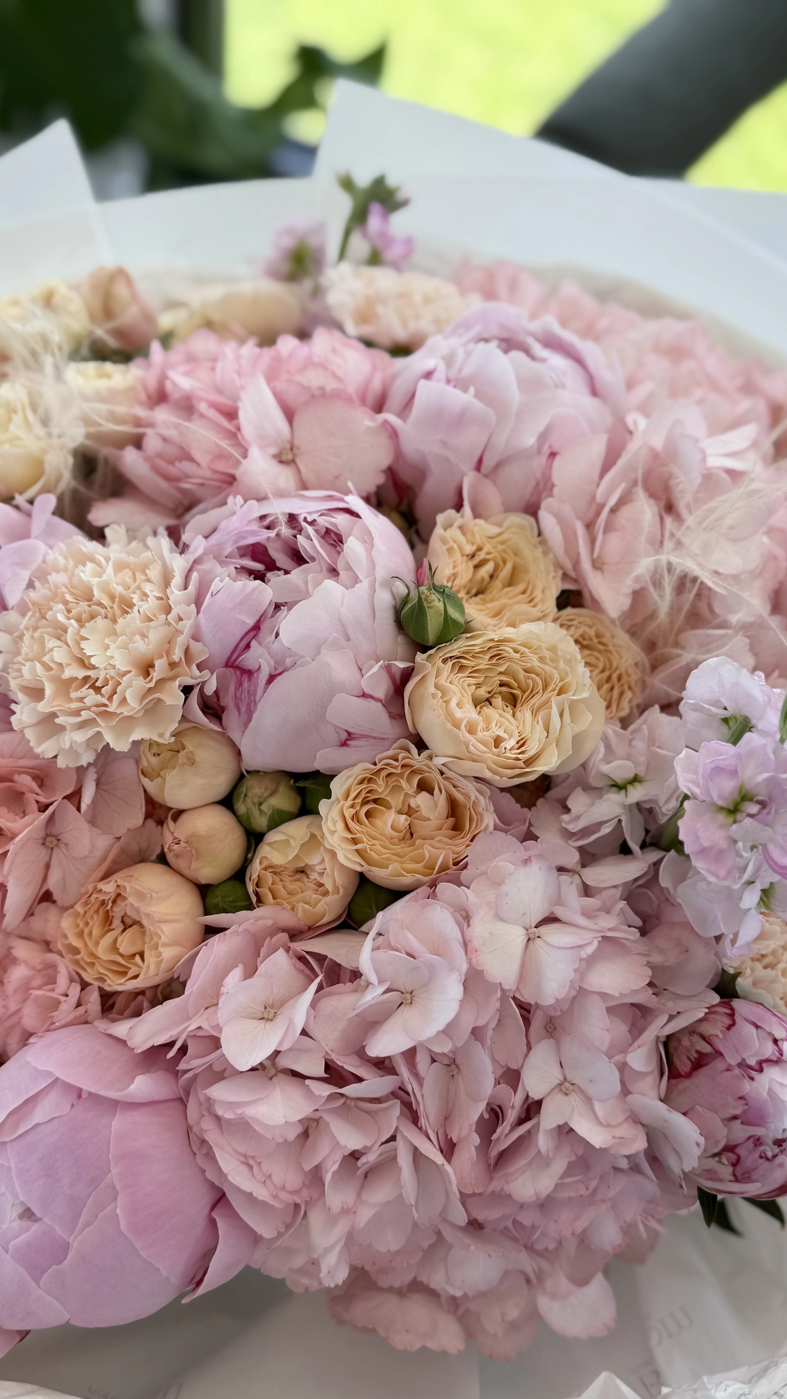 Blush & Peach Elegance