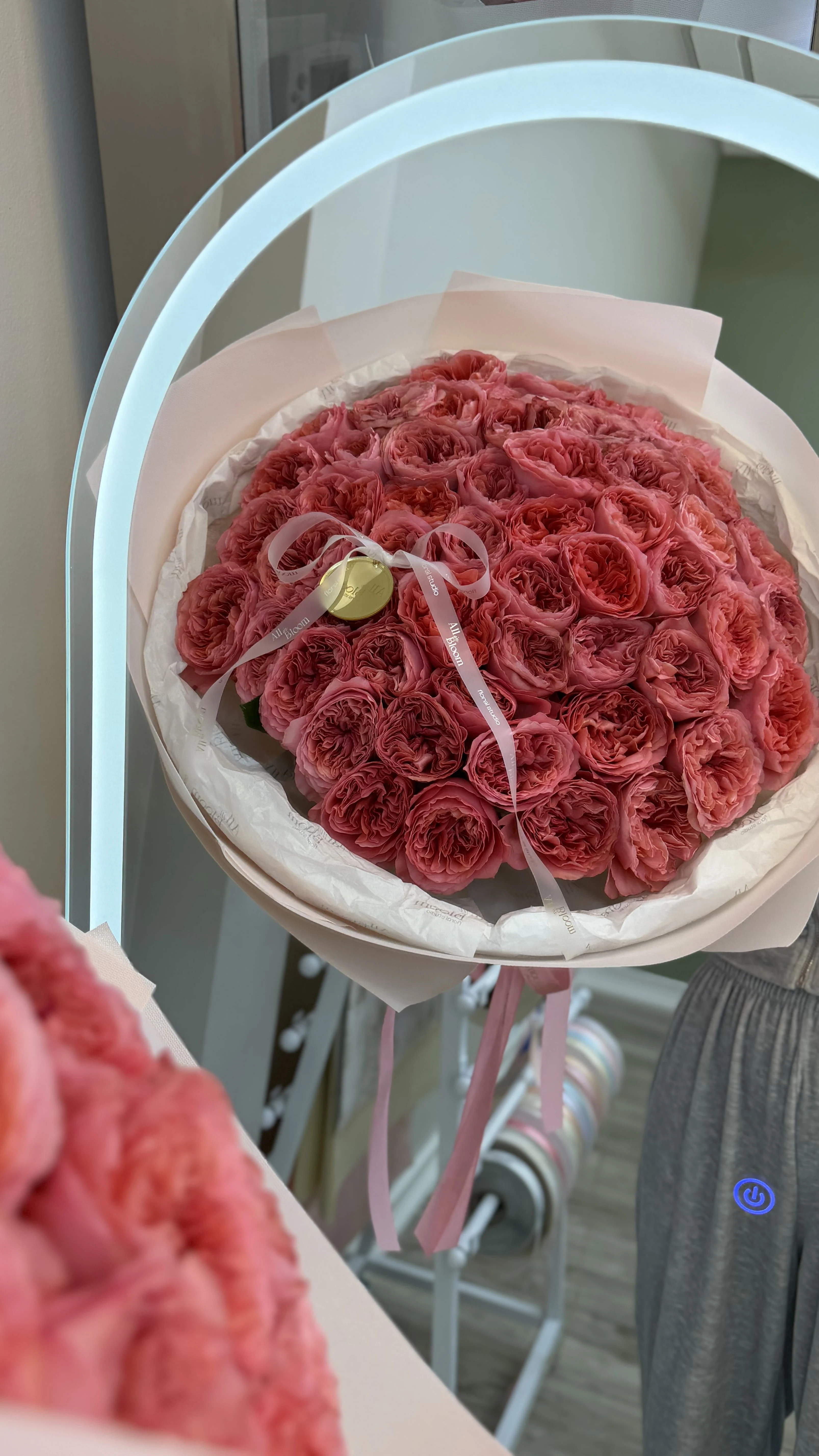 50 Candy X-Pression Garden Roses