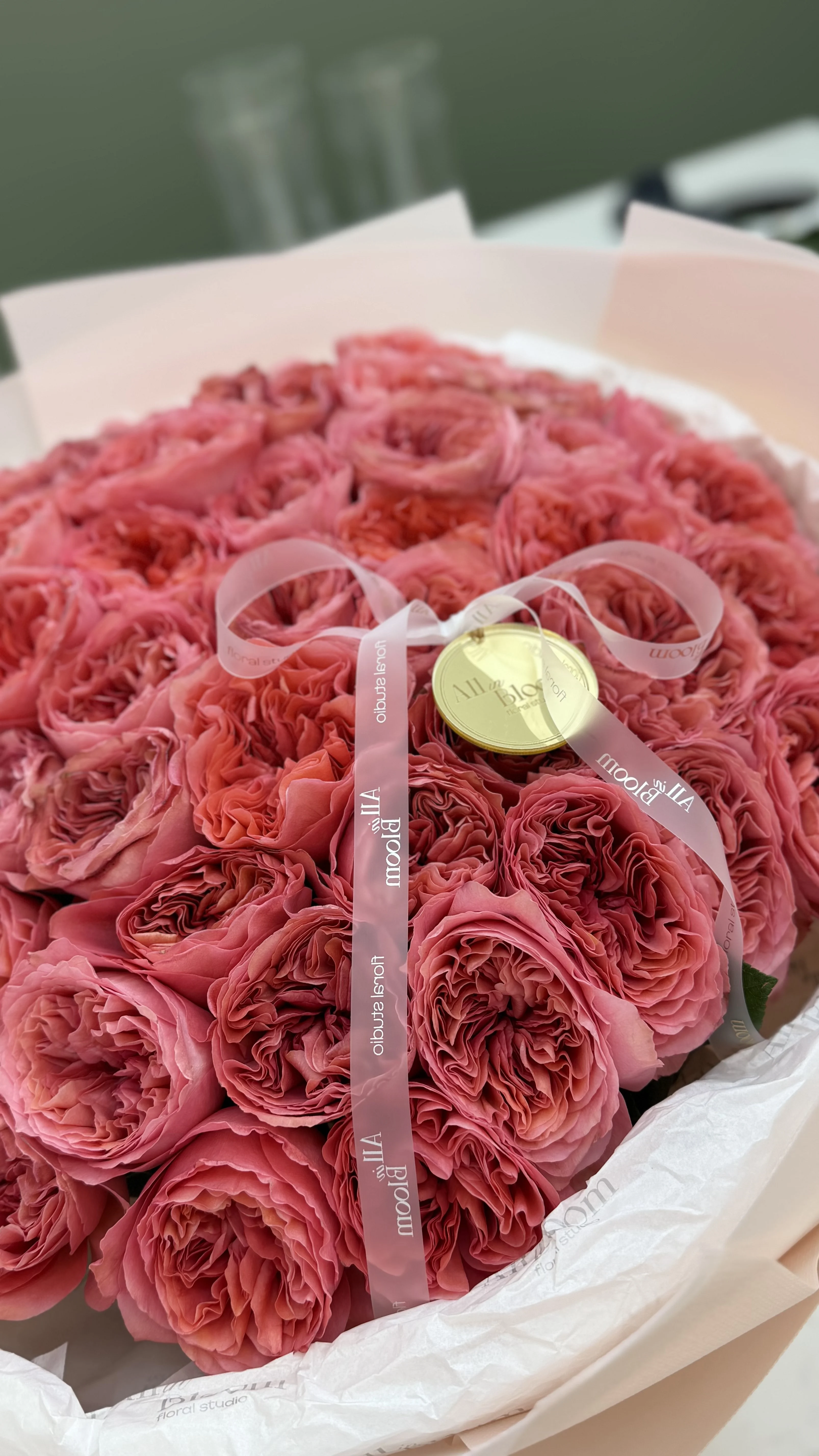 50 Candy X-Pression Garden Roses