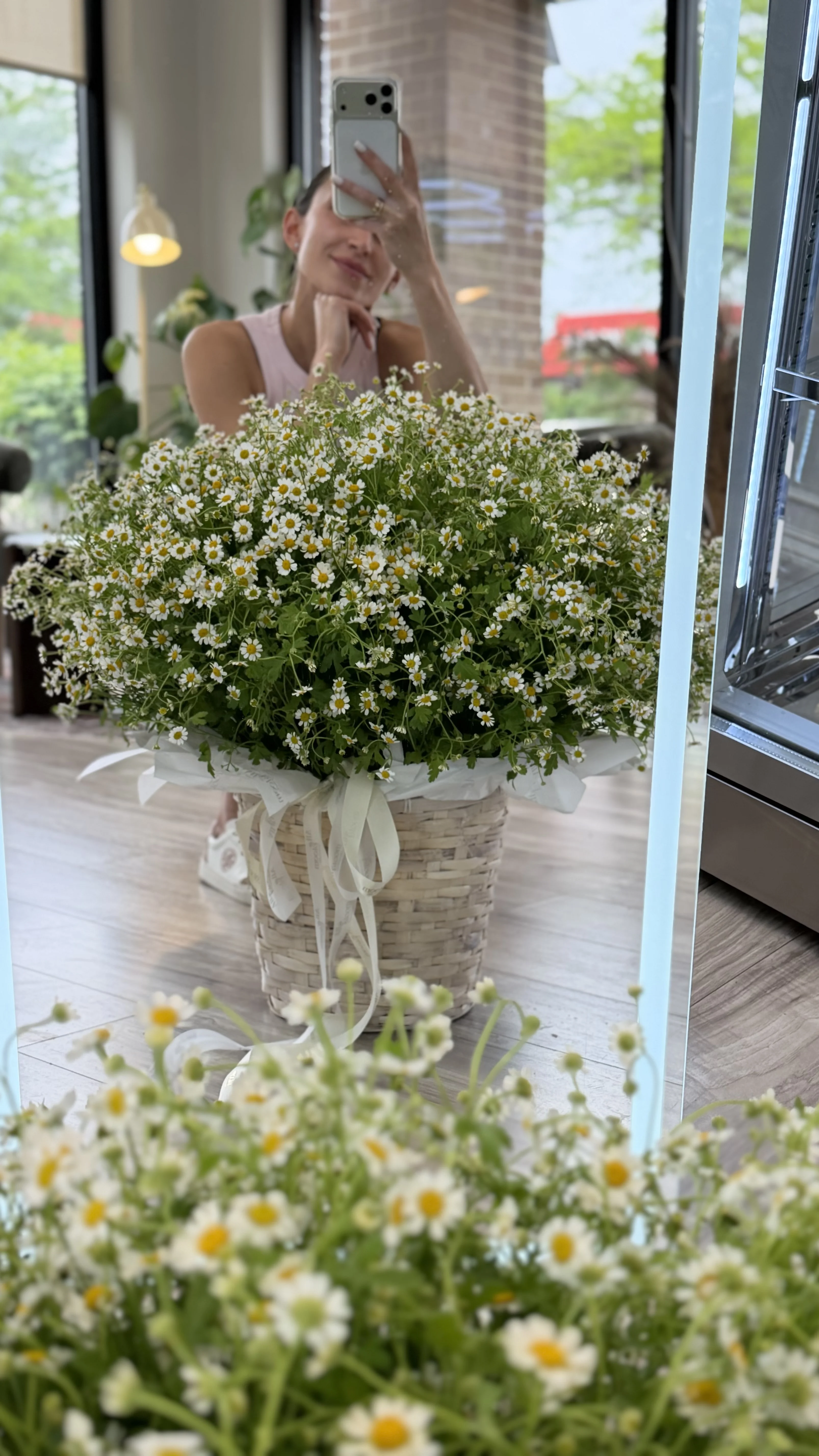 🌼 Chamomile Cloud