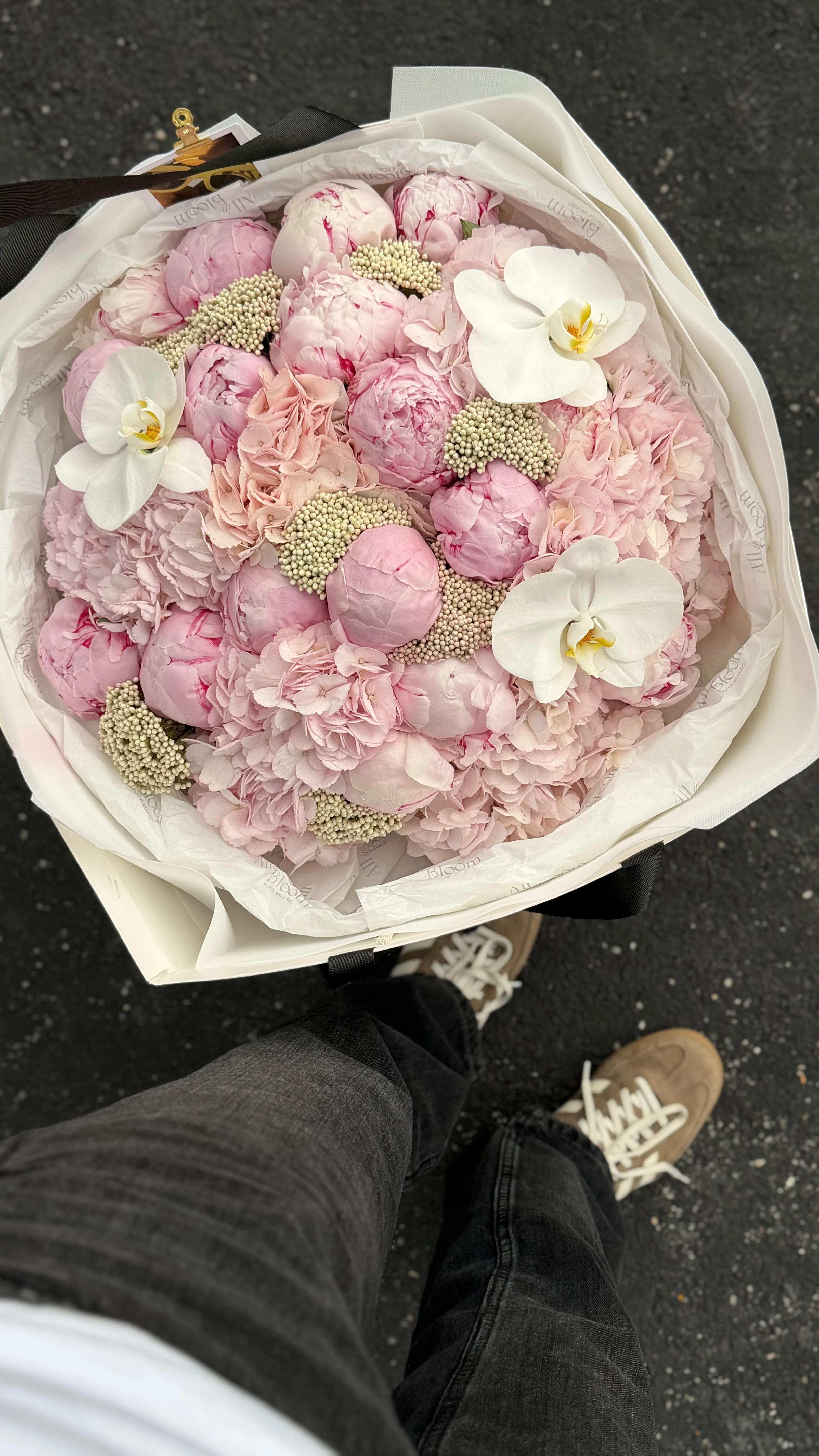 Blush Peony Dream 🌸
