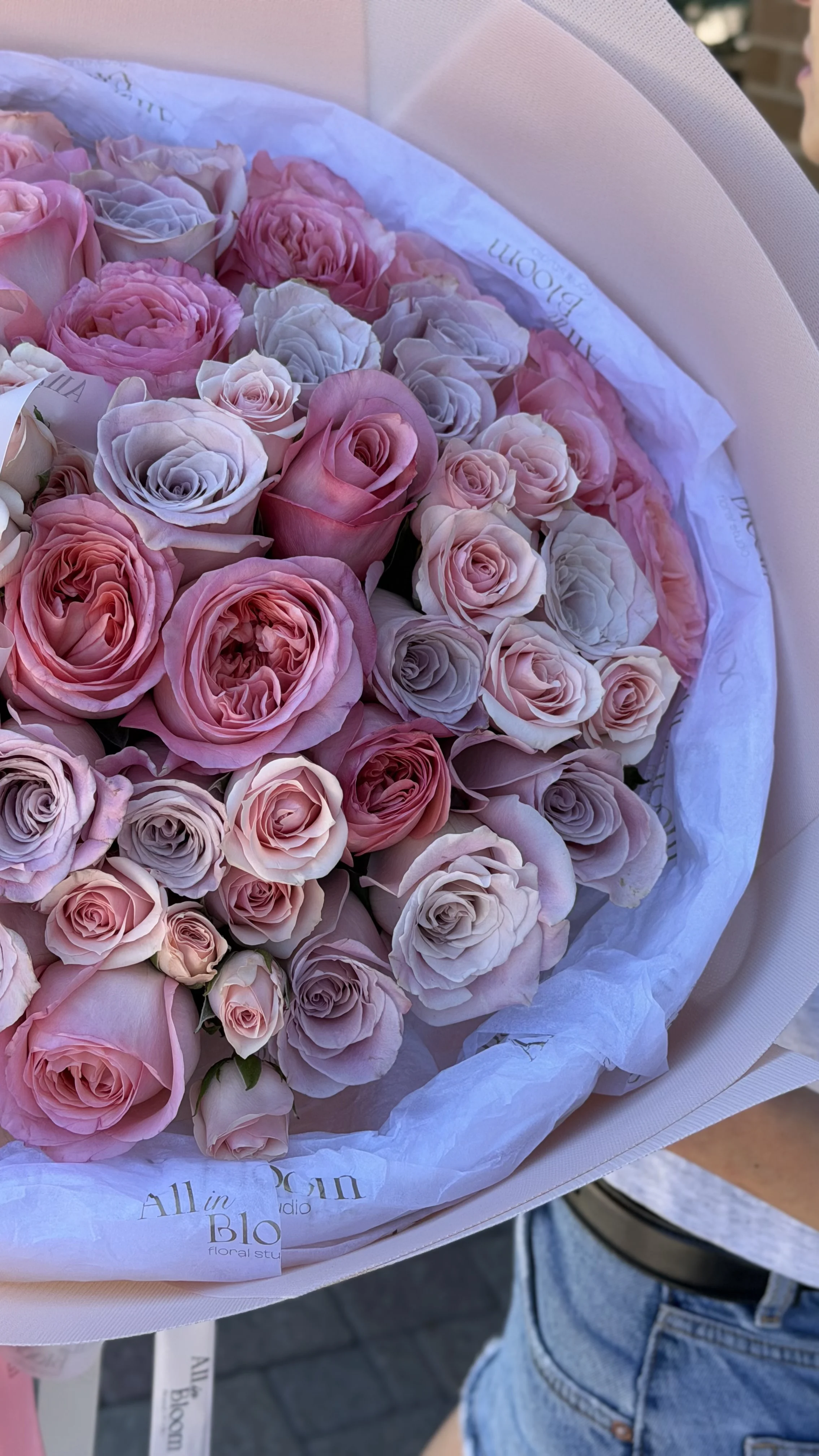 Garden & Spray Rose Mix 🌸