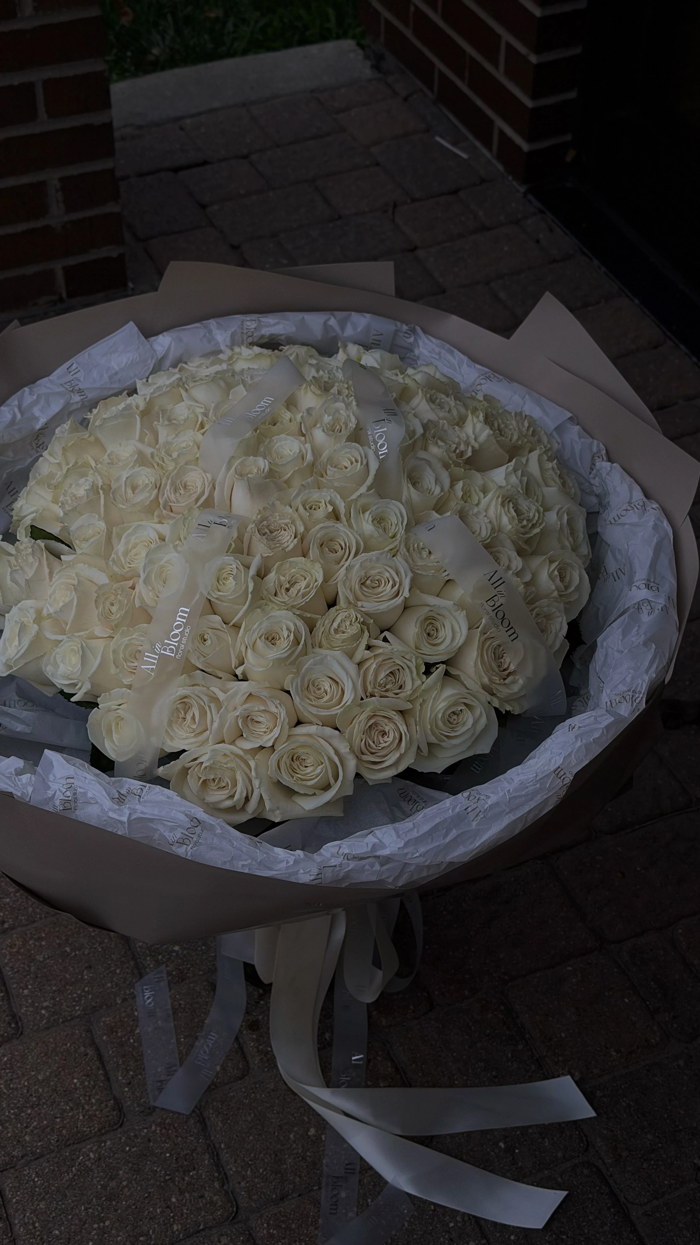 100 White Roses — Playa Blanca