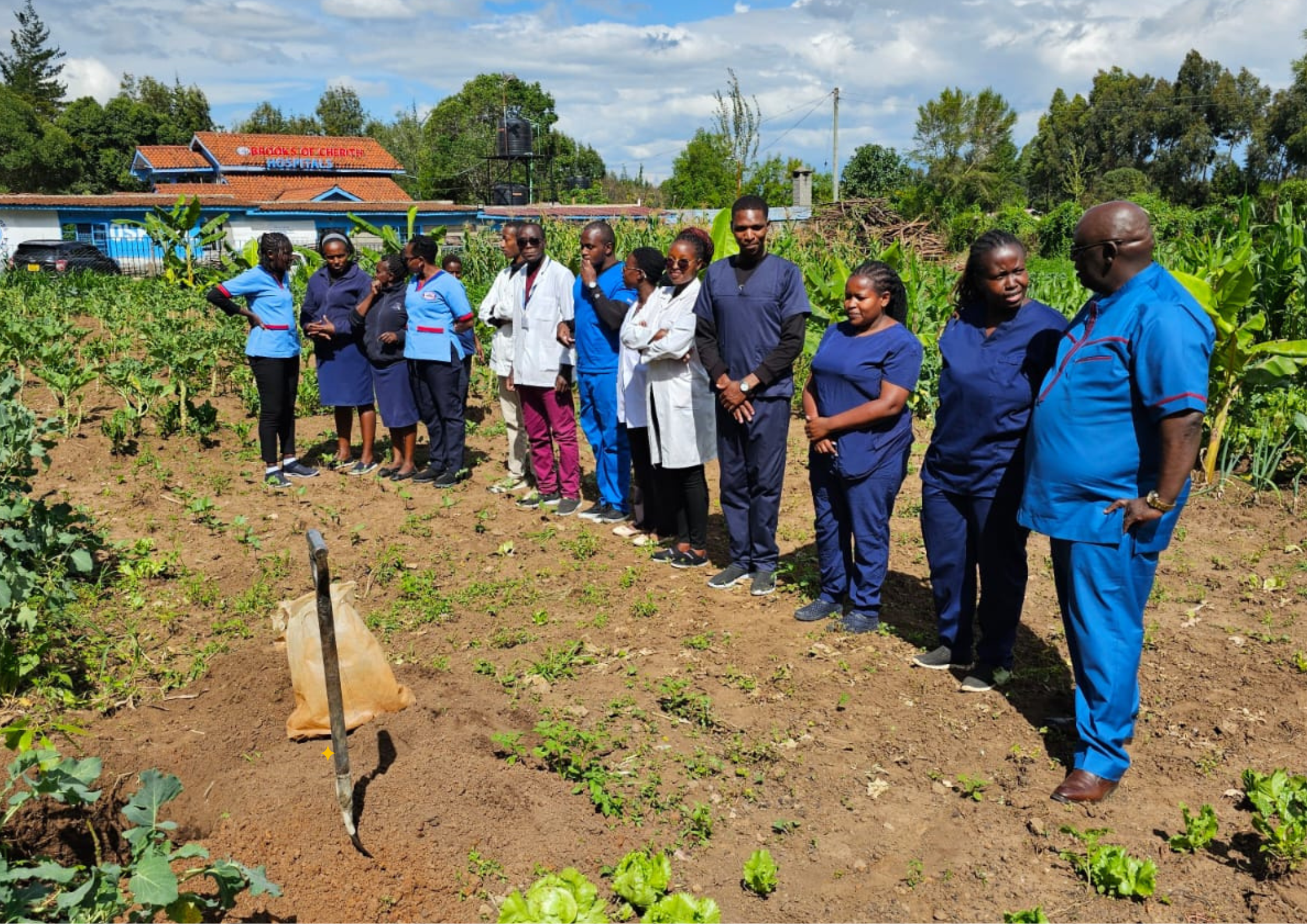 Medical Team Meeting at Brooks of Cherith