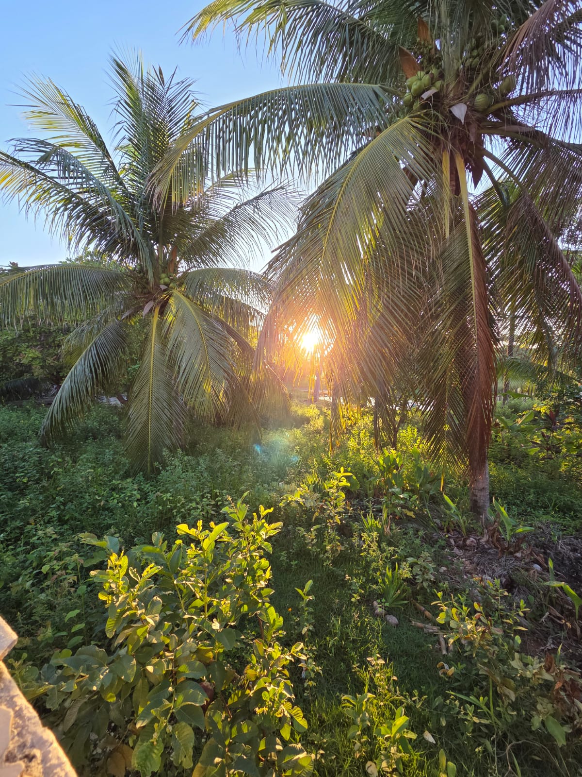 Rua Clovis Bevilacqua,123 - Praia do Flamengo