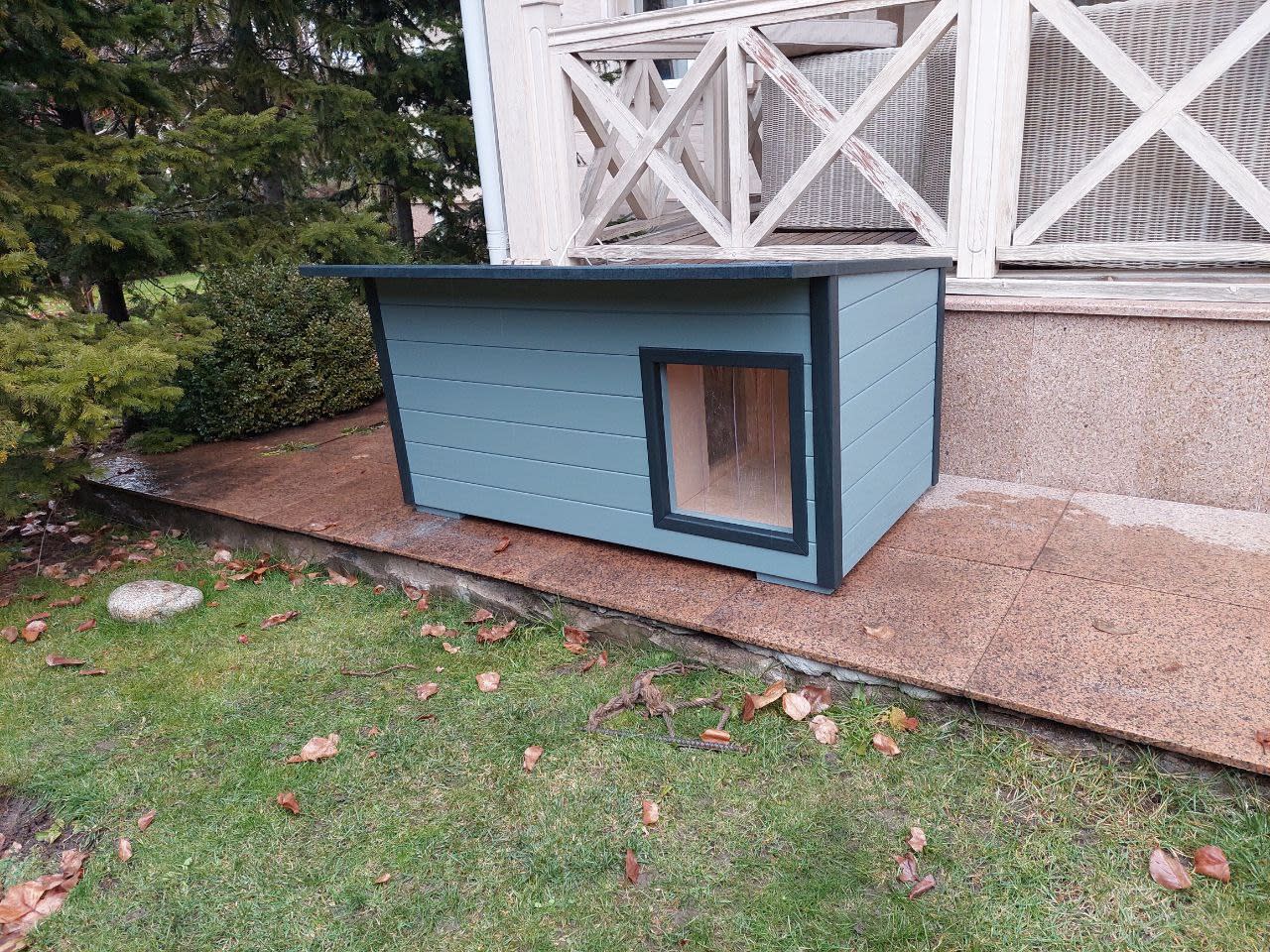 Лабрадор Премиум - фото 3