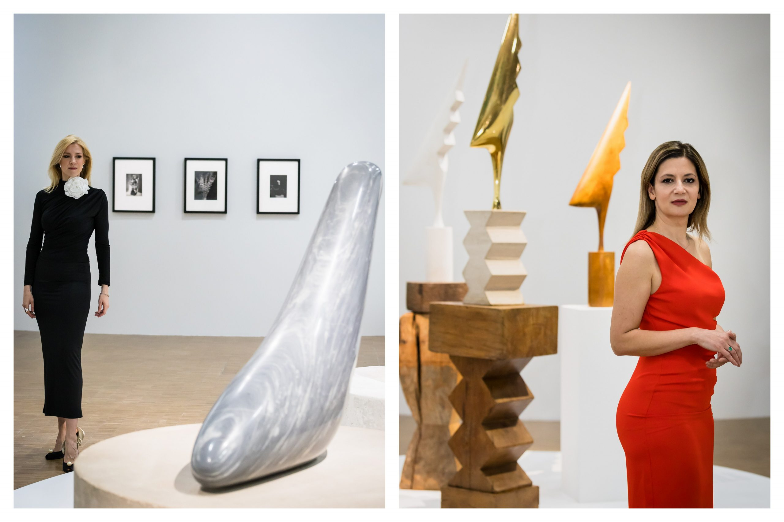 Foto credits: Mugur Cristescu | Jidvei | Expoziție Retrospectivă Brâncuși – Centrul Pompidou