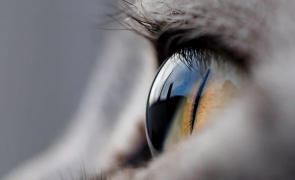 Sursa foto: Cat Time