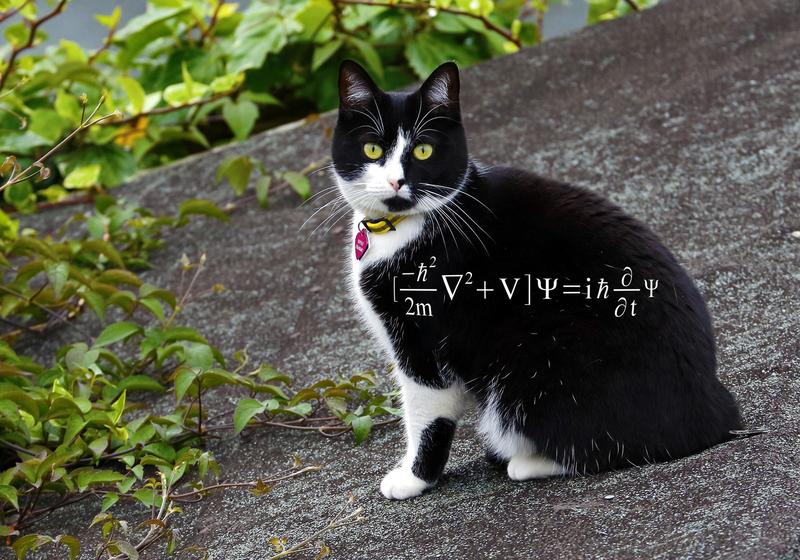 Ecuația lui Erwin Schrödinger Foto: VICTOR DE SCHWANBERG / Sciencephoto / Profimedia